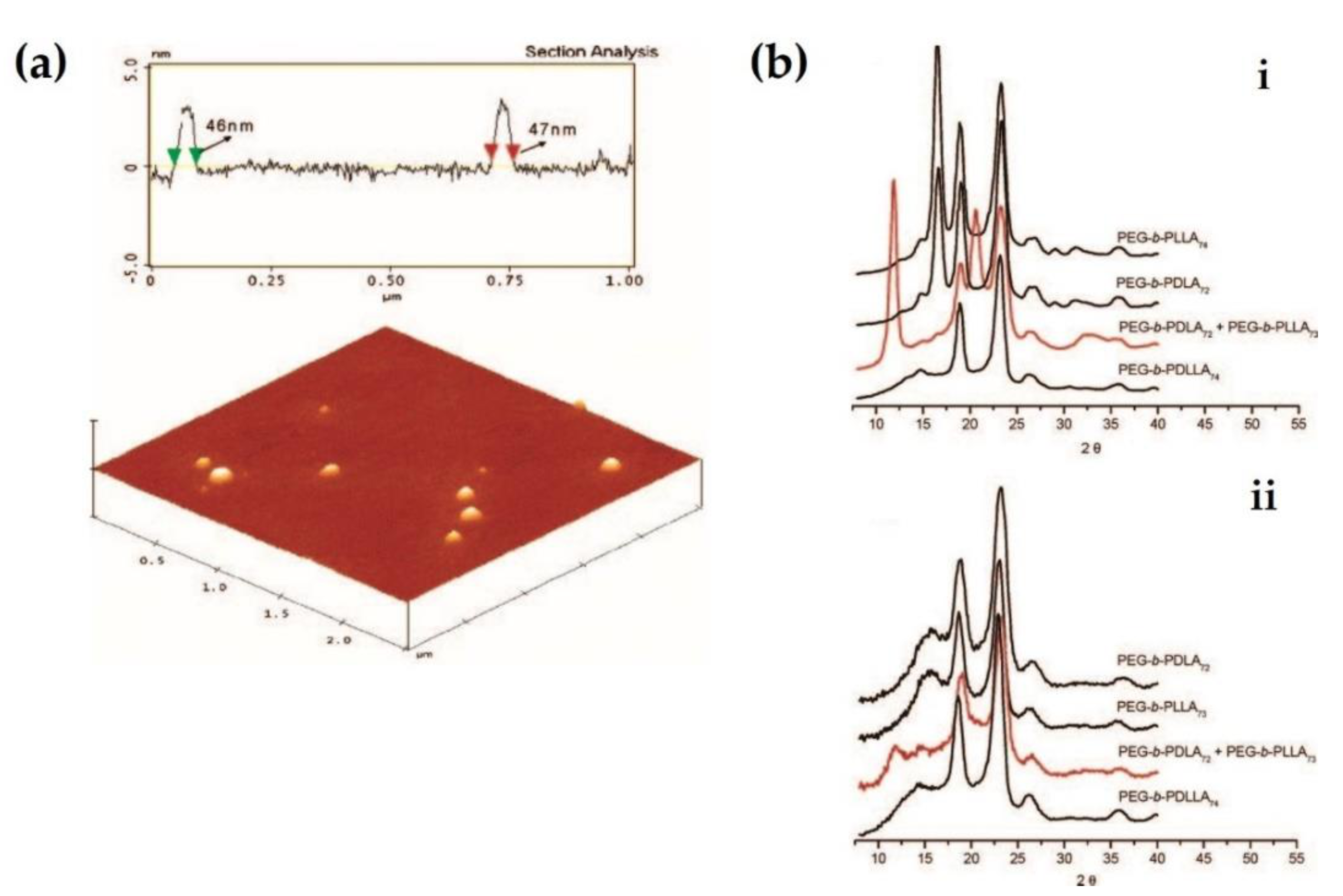 Molecules 26 02846 g001