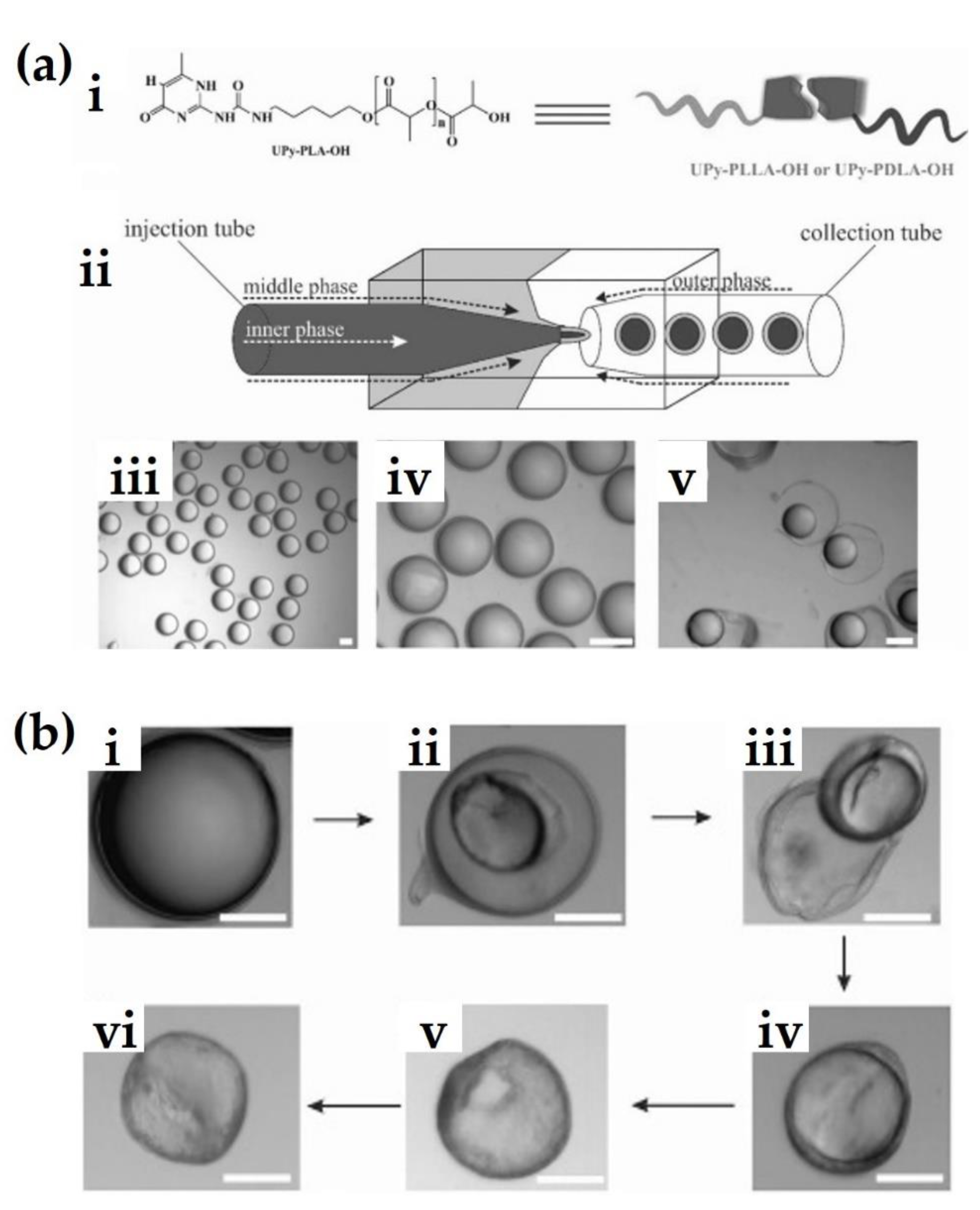 Molecules 26 02846 g005