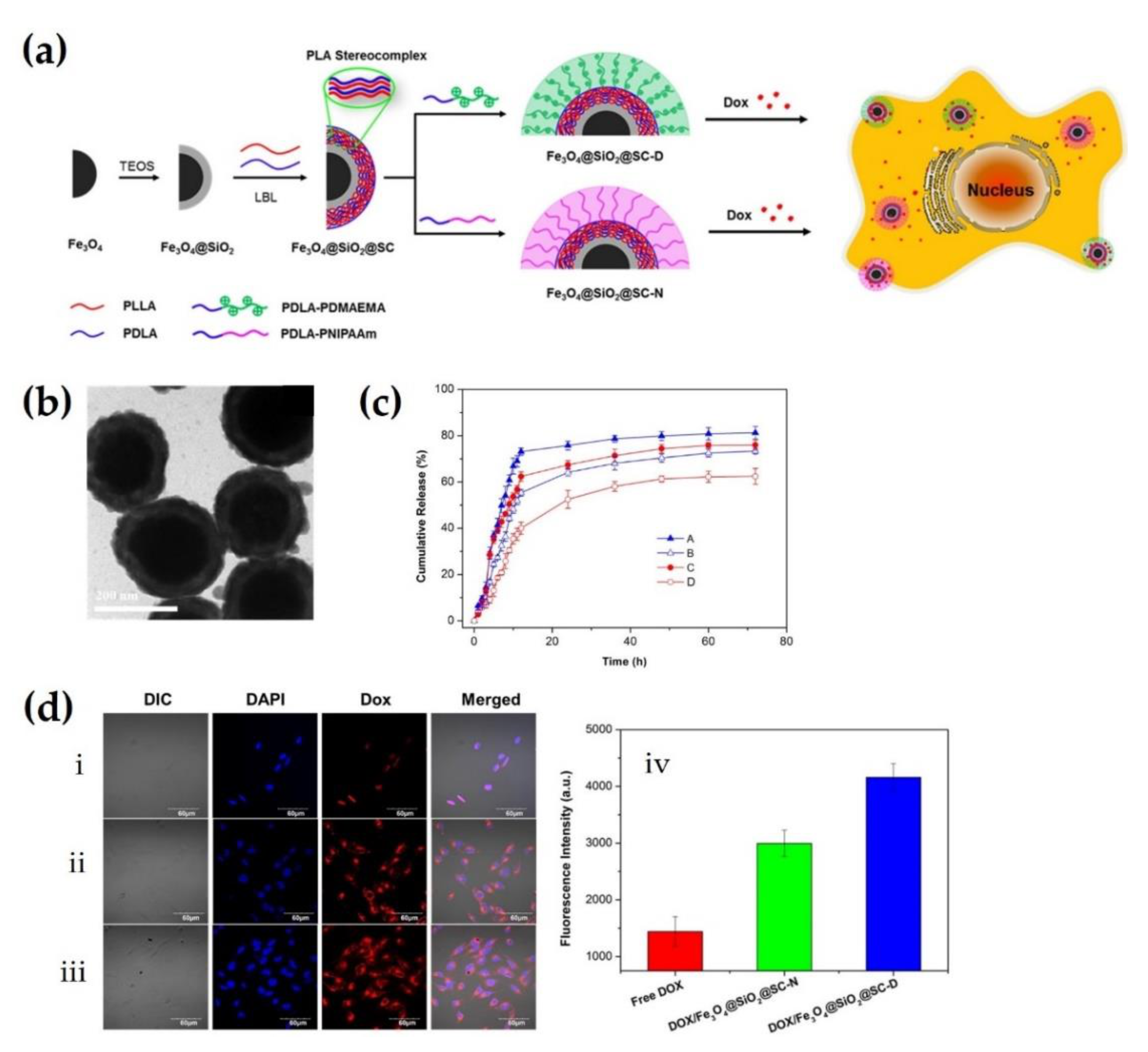 Molecules 26 02846 g012