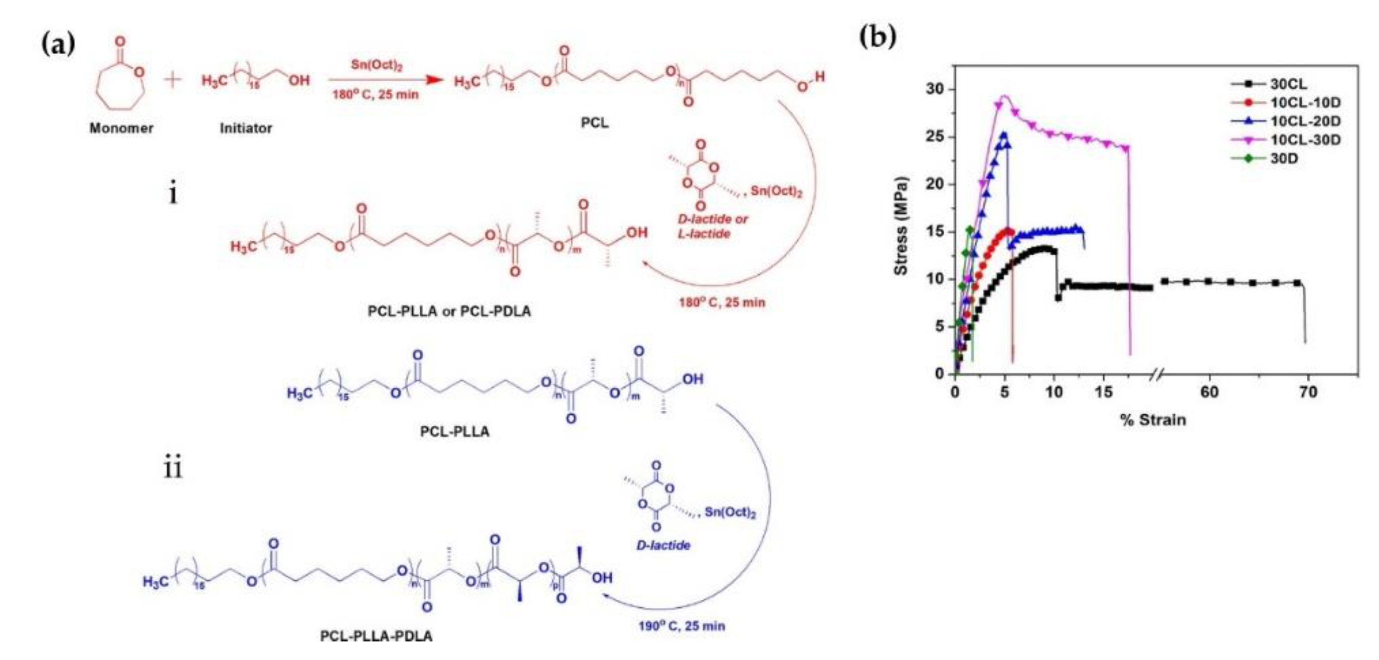 Molecules 26 02846 g015