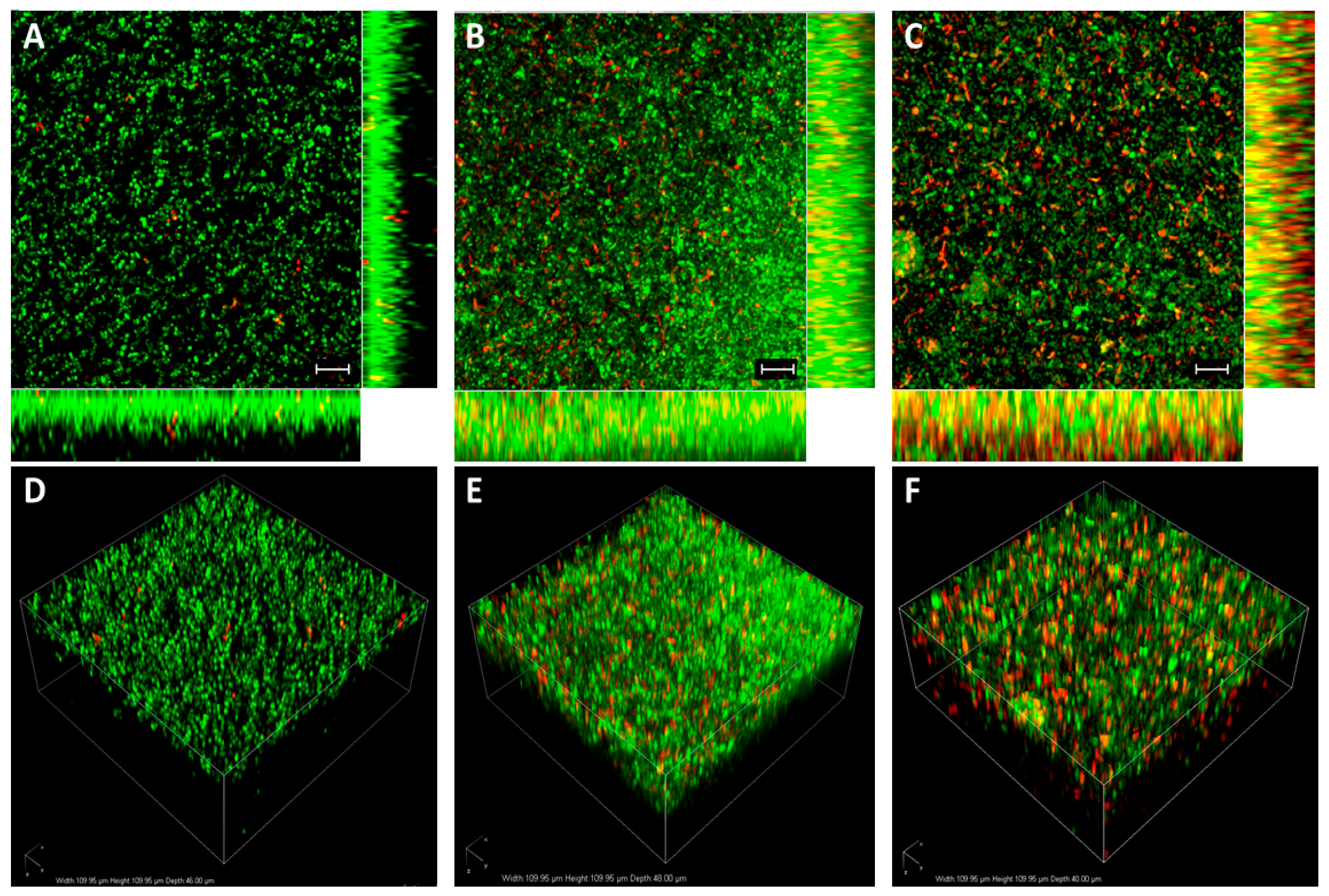 Molecules 26 02848 g002 Molecules 26 02848 g002