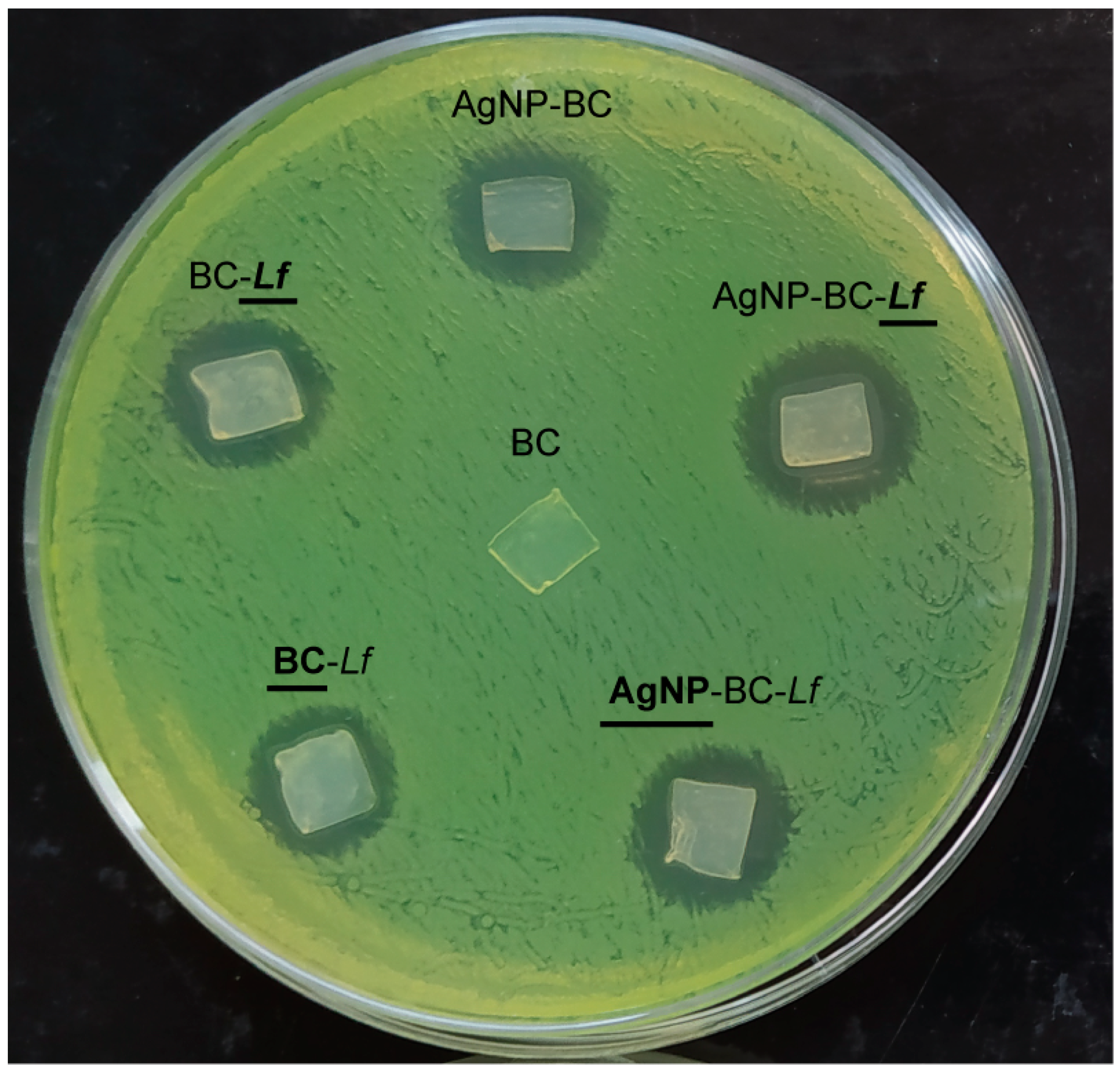 Molecules 26 02848 g004 Molecules 26 02848 g004