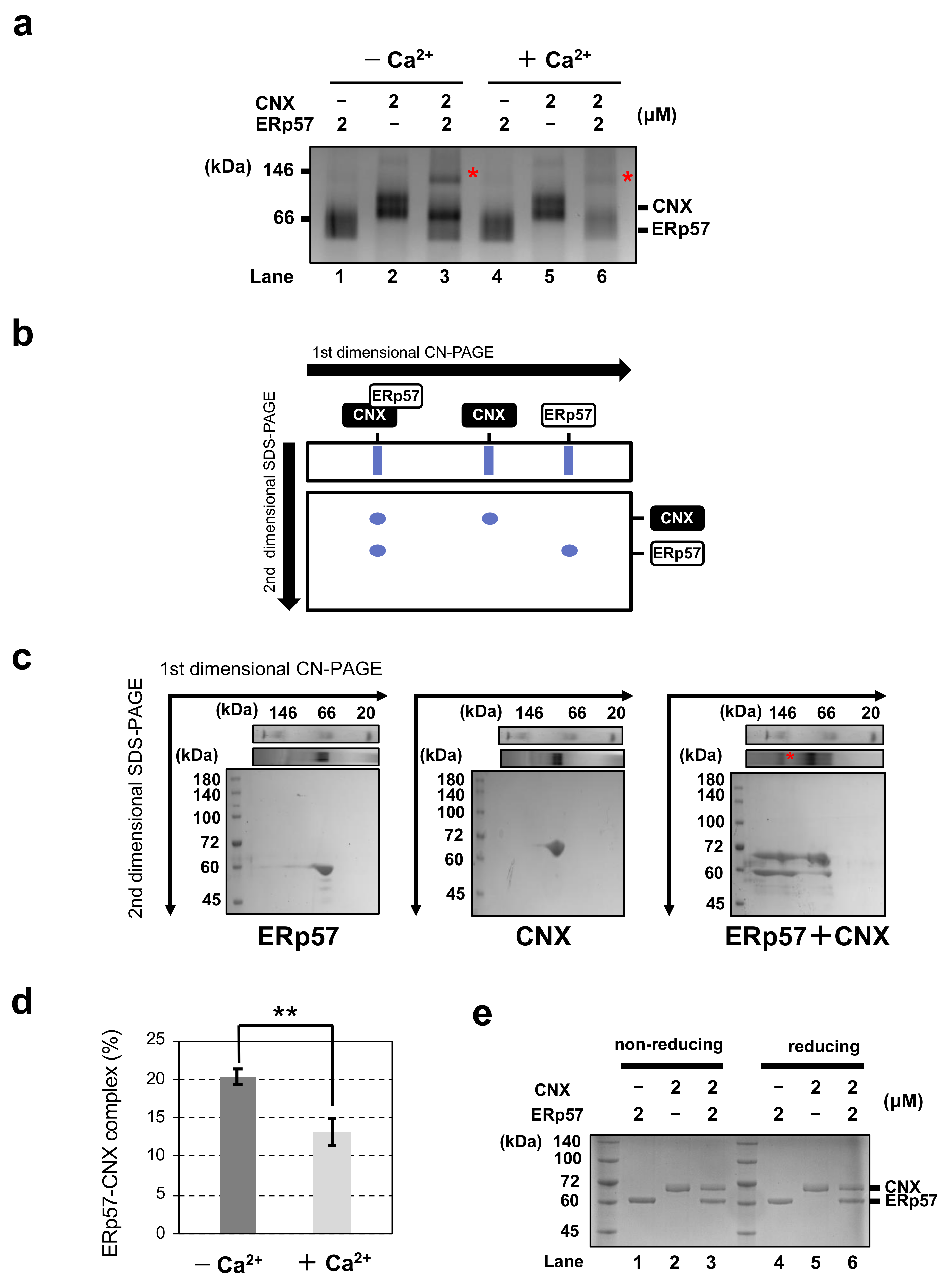 Molecules 26 02853 g001 Molecules 26 02853 g001