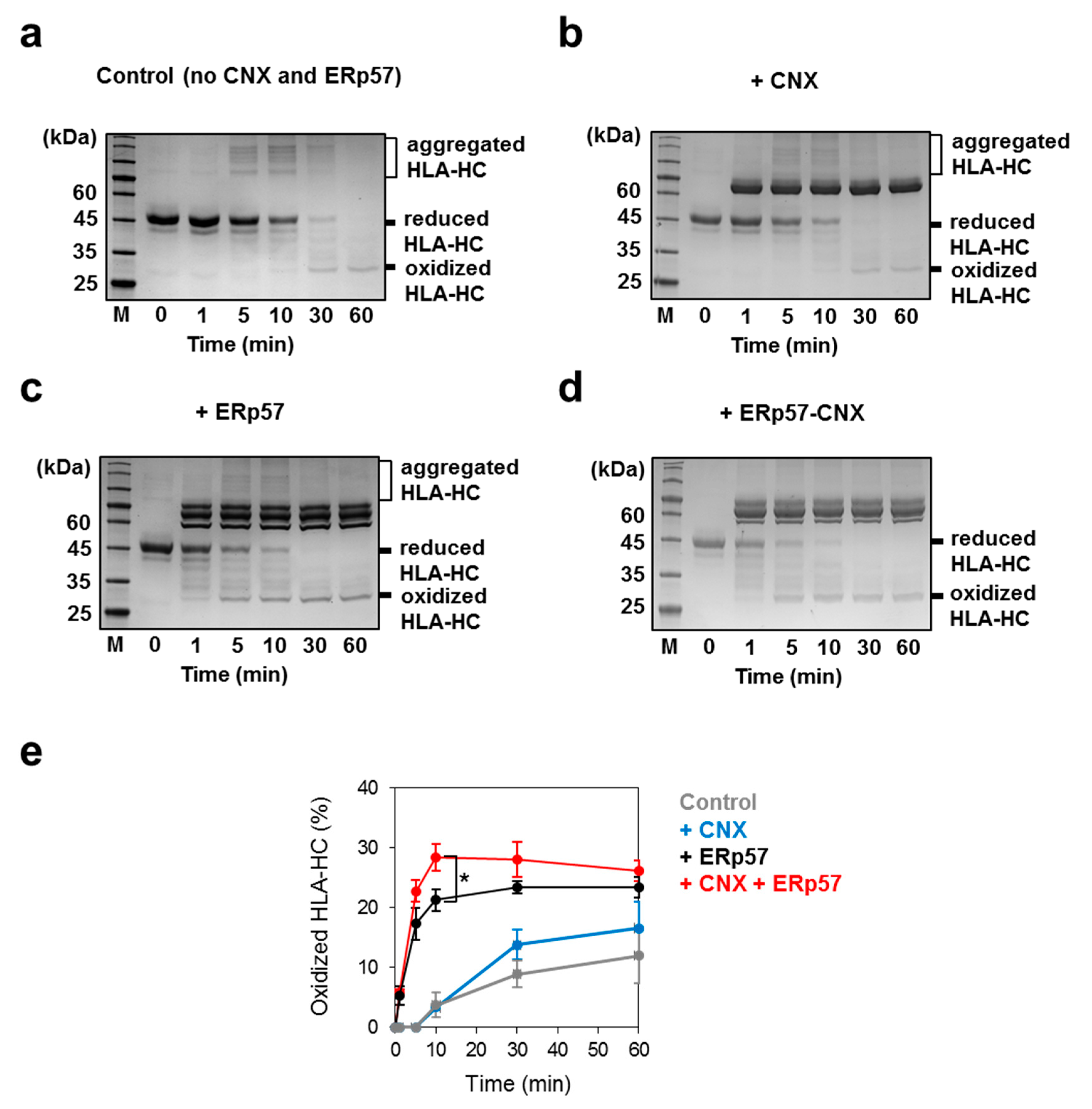 Molecules 26 02853 g003 Molecules 26 02853 g003
