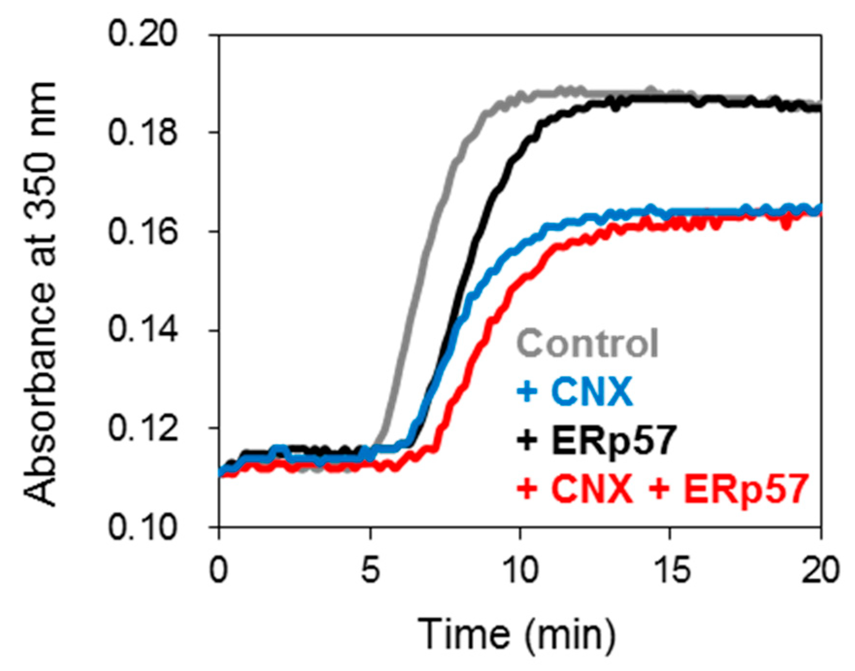 Molecules 26 02853 g004 Molecules 26 02853 g004