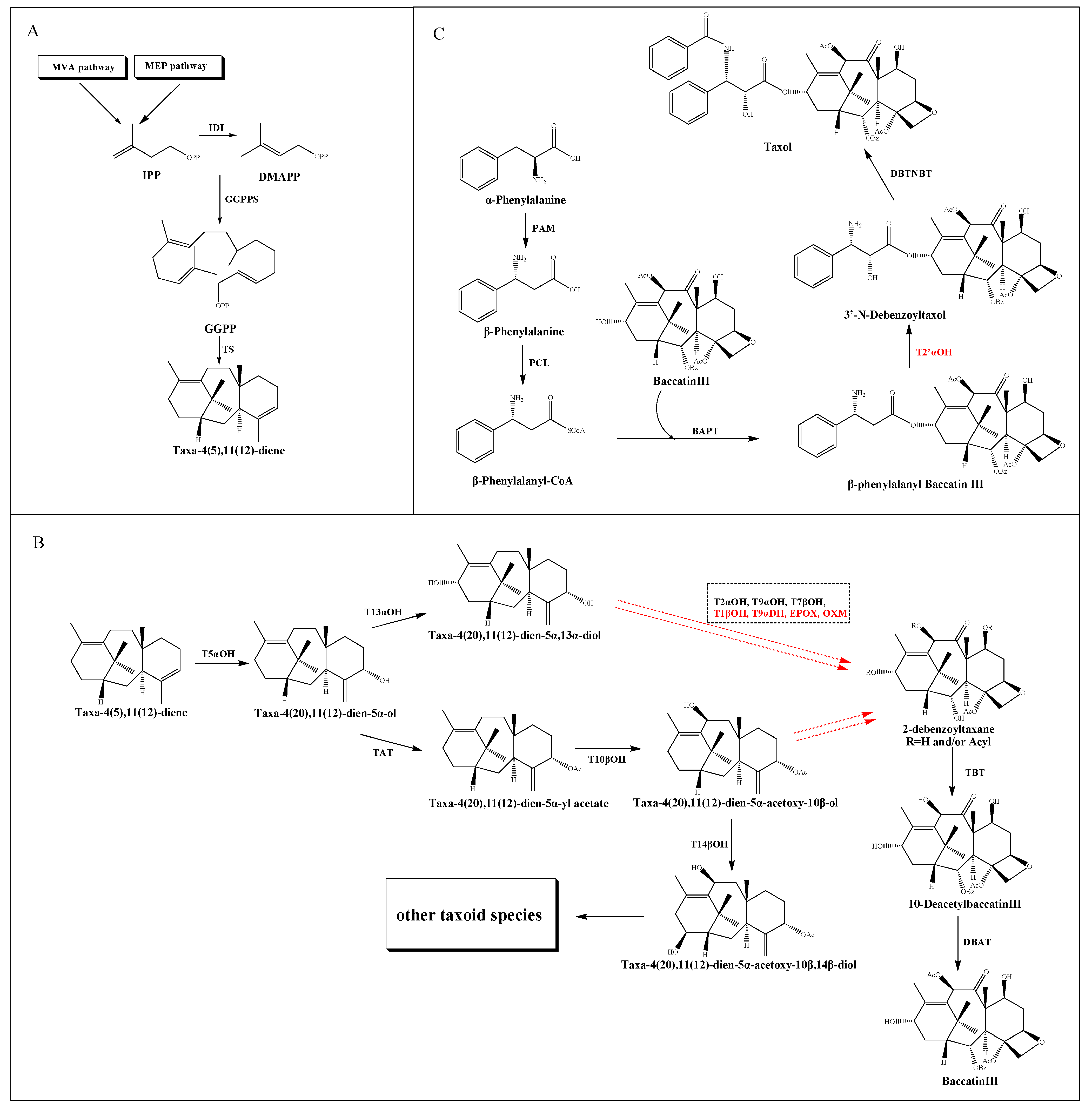 Molecules 26 02855 g001