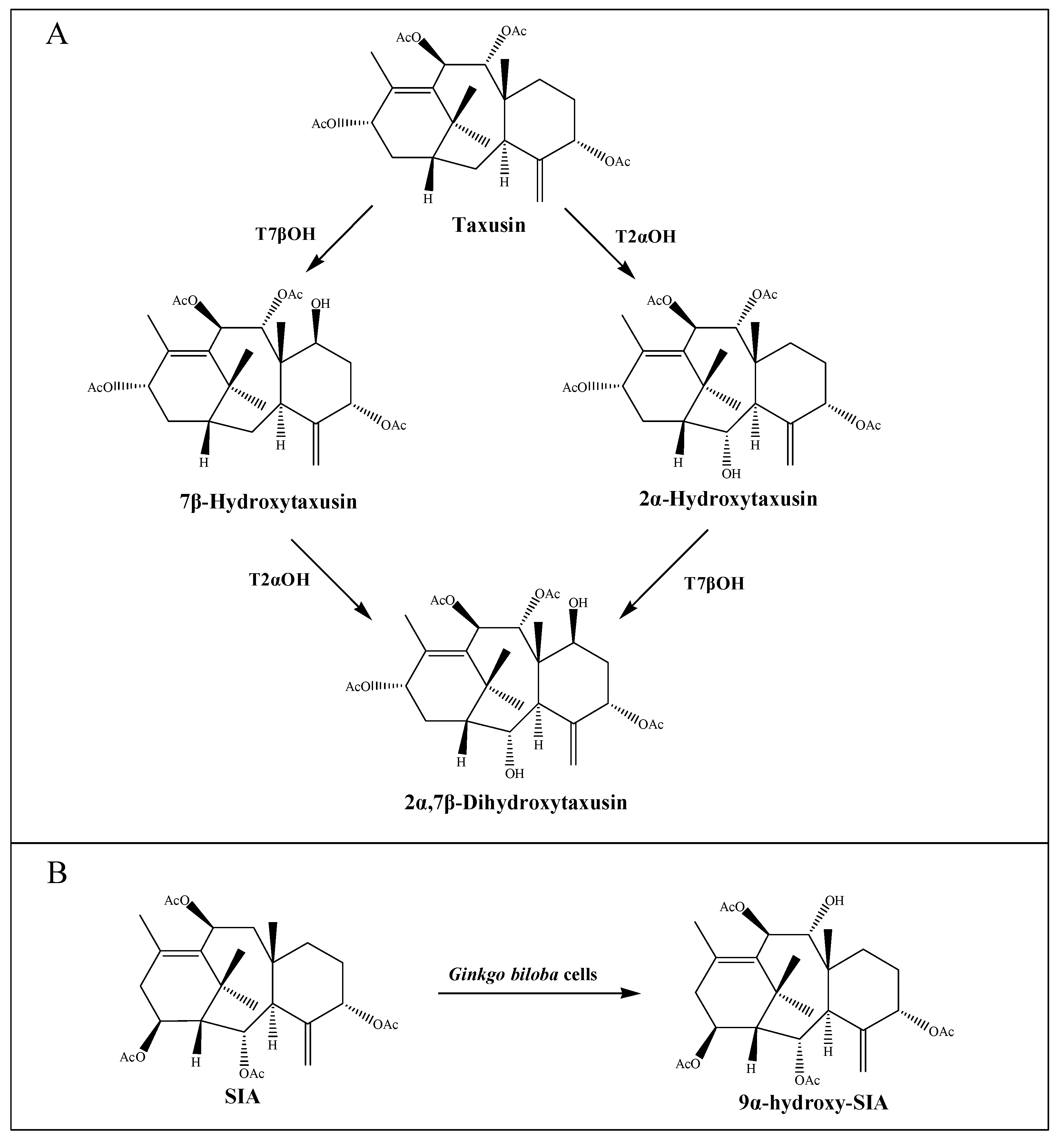 Molecules 26 02855 g002