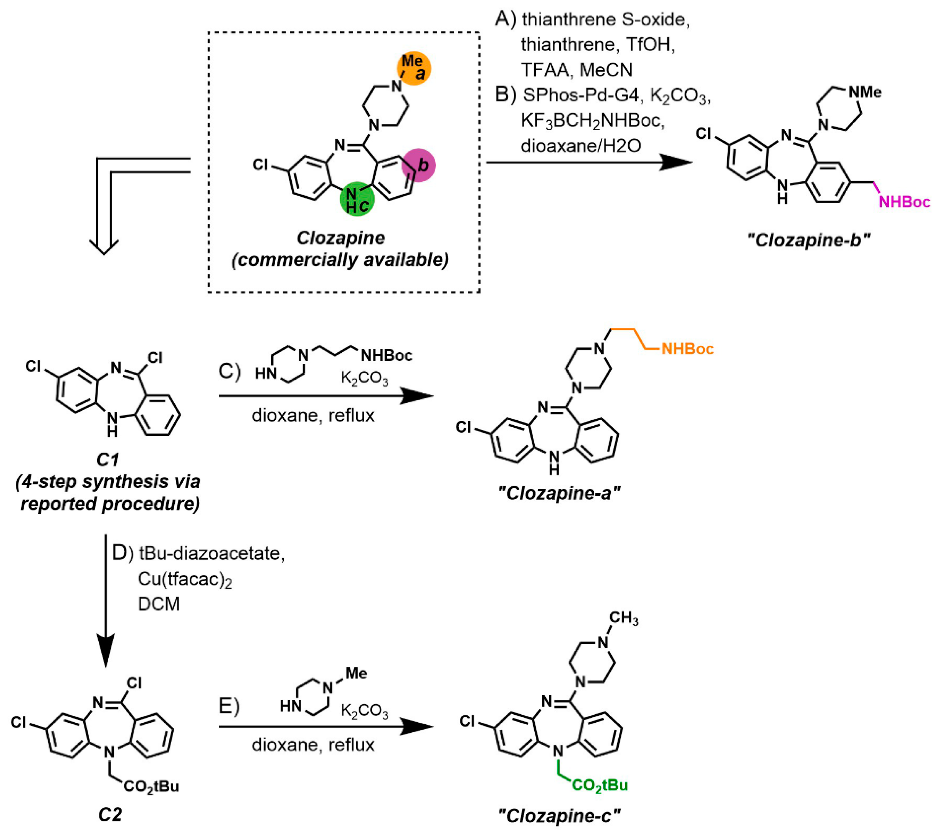 Molecules 26 02857 g003