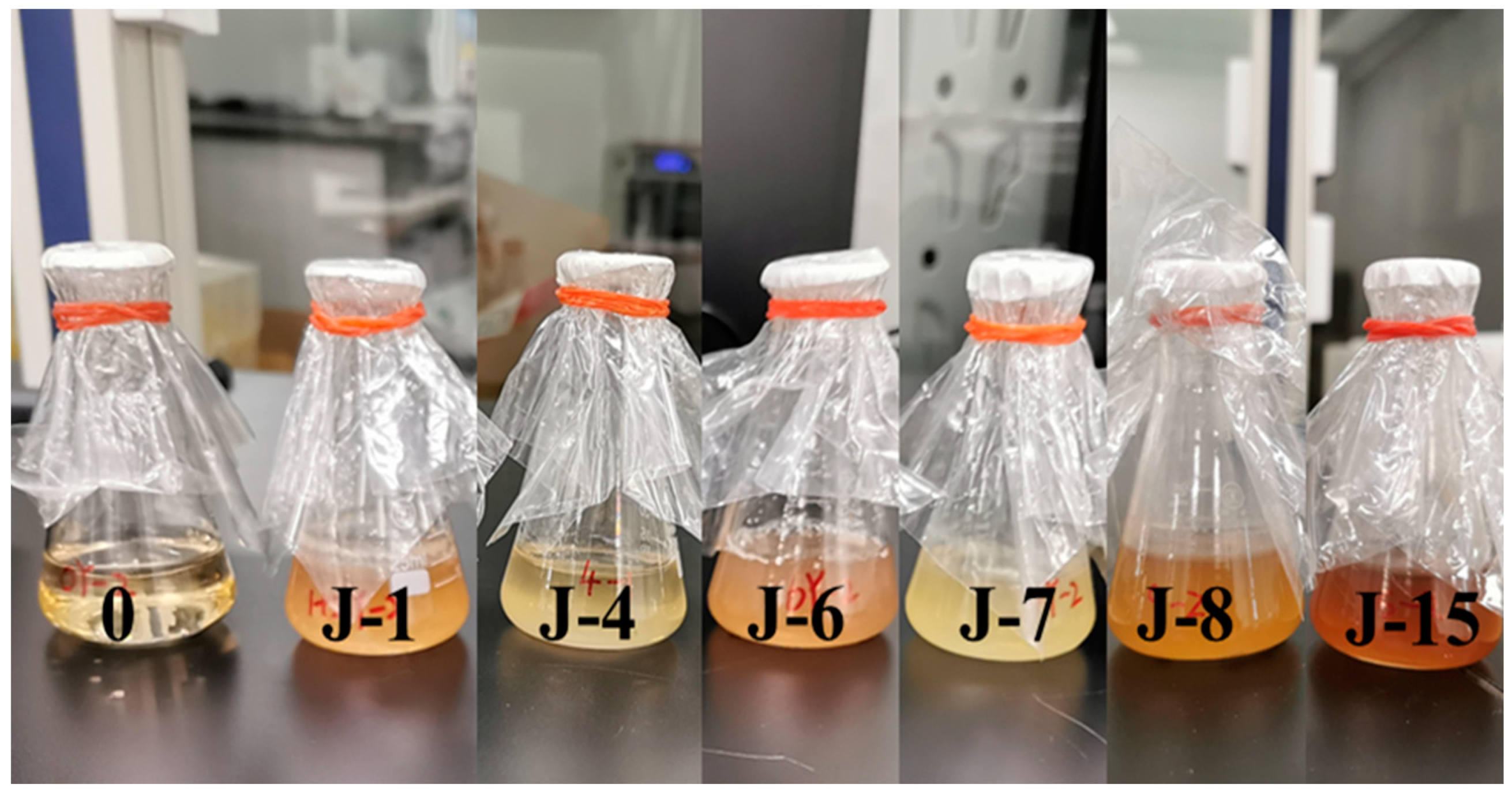 Molecules 26 02862 g001