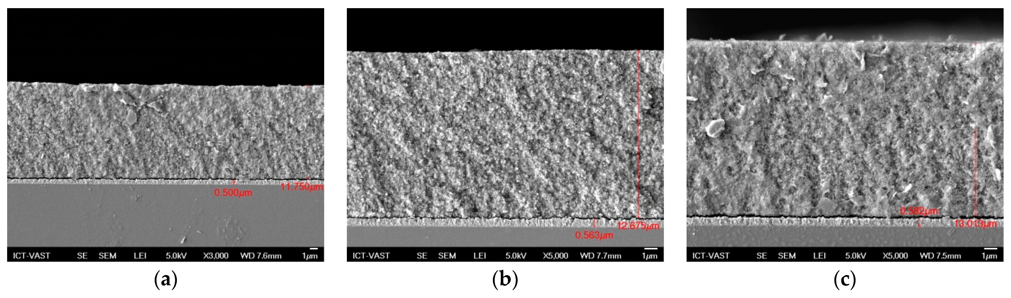 Molecules 26 02865 g002