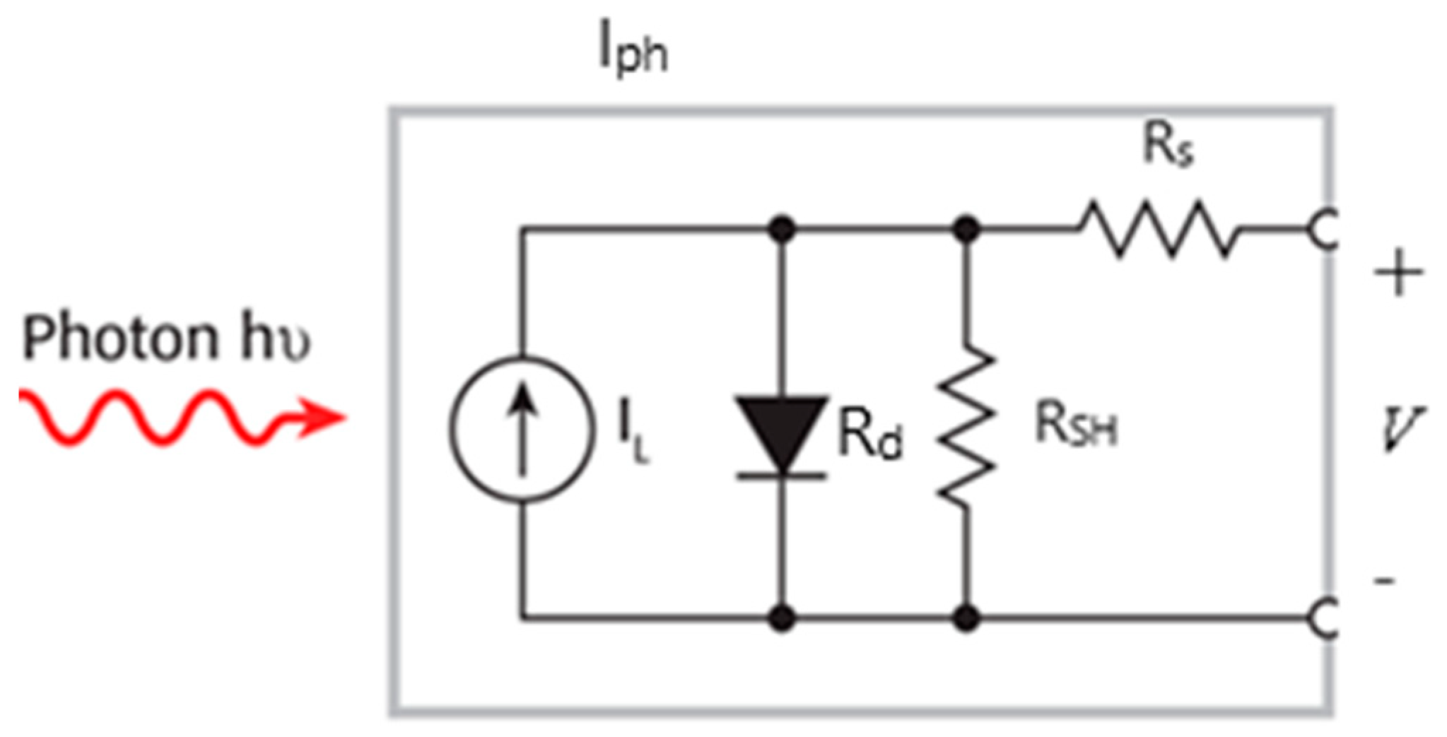 Molecules 26 02865 g006
