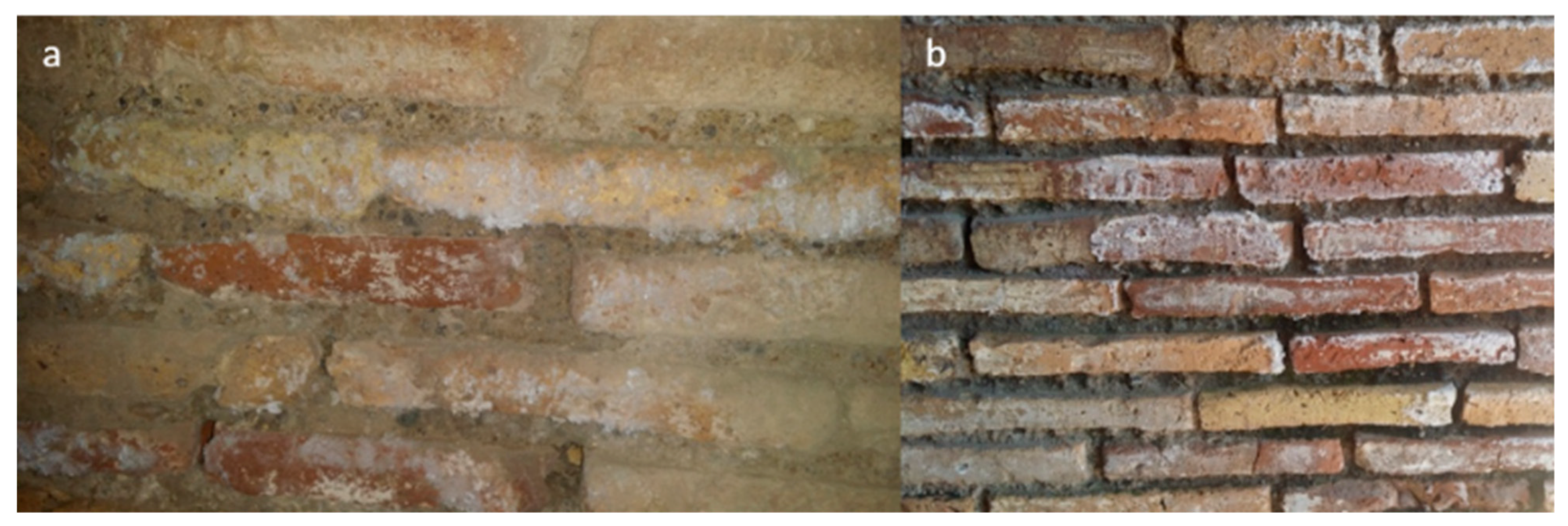 Molecules 26 02866 g003 Molecules 26 02866 g003