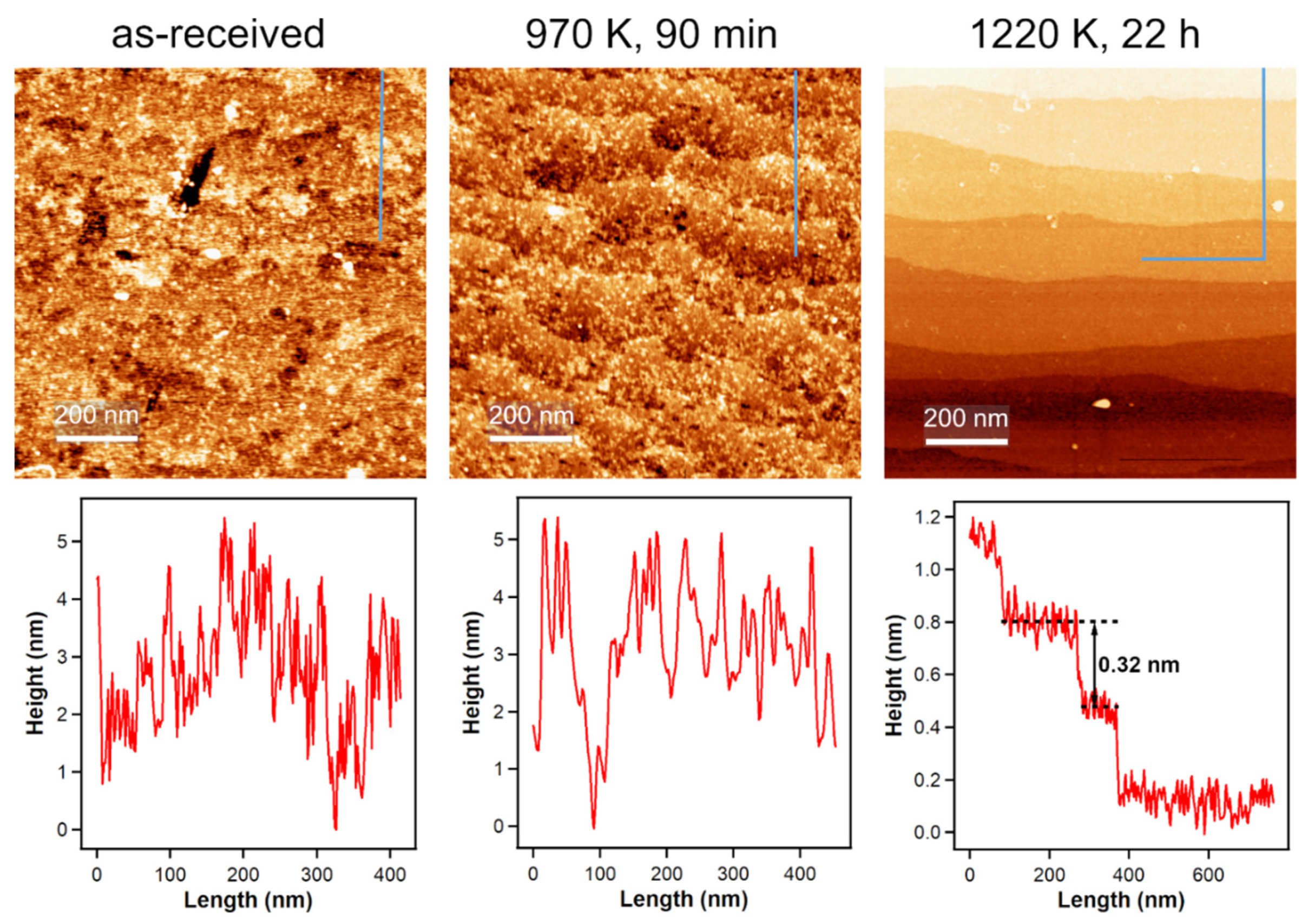 Molecules 26 02871 g004 Molecules 26 02871 g004
