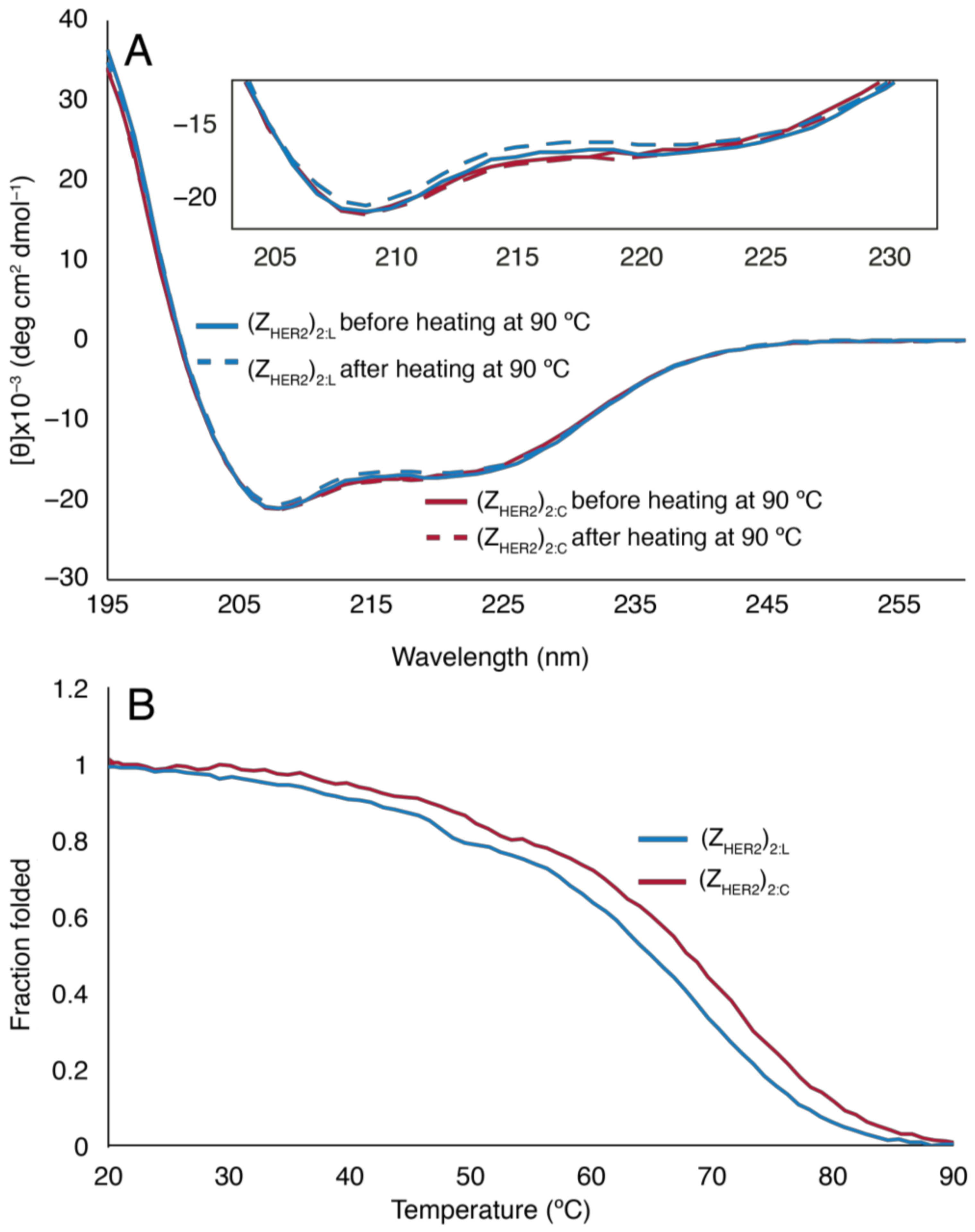 Molecules 26 02874 g004