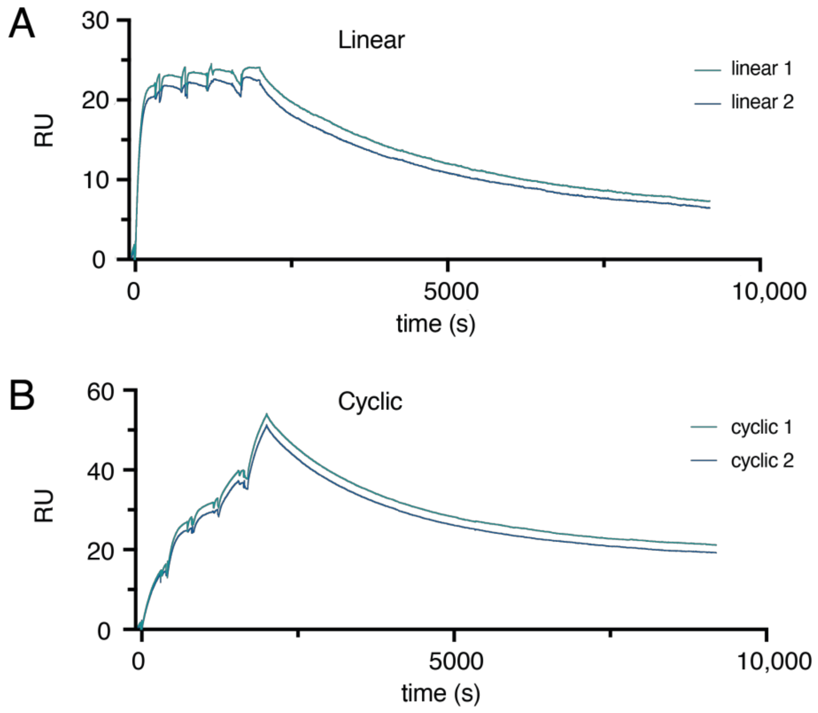 Molecules 26 02874 g005