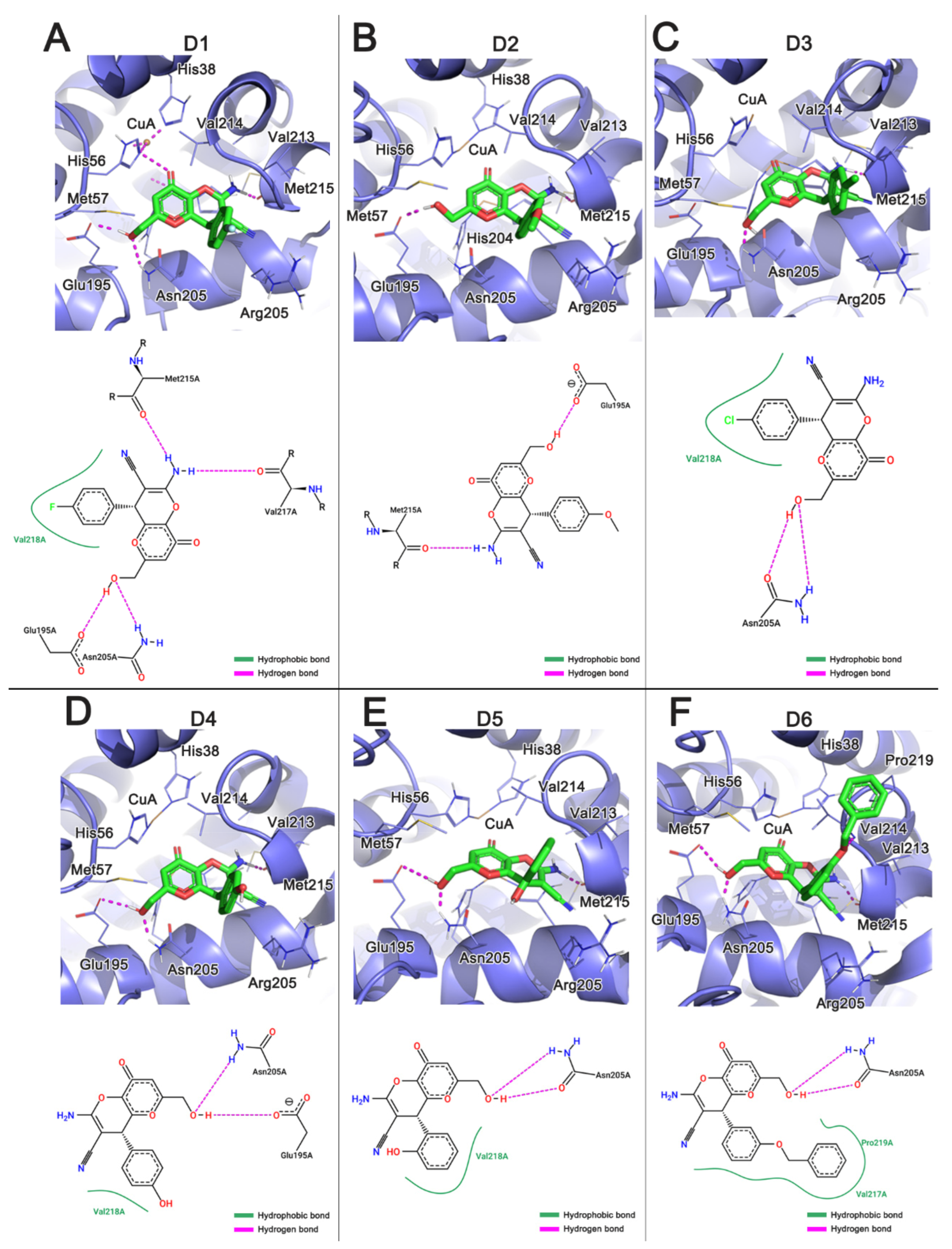 Molecules 26 02875 g004 Molecules 26 02875 g004