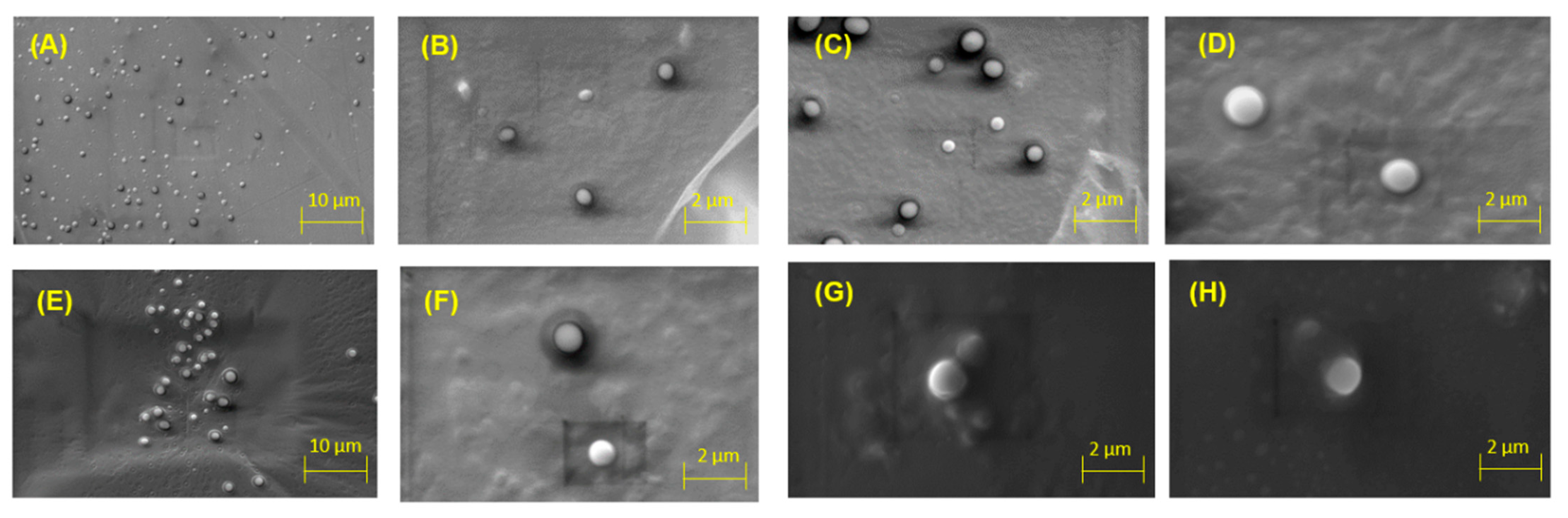 Molecules 26 02880 g003