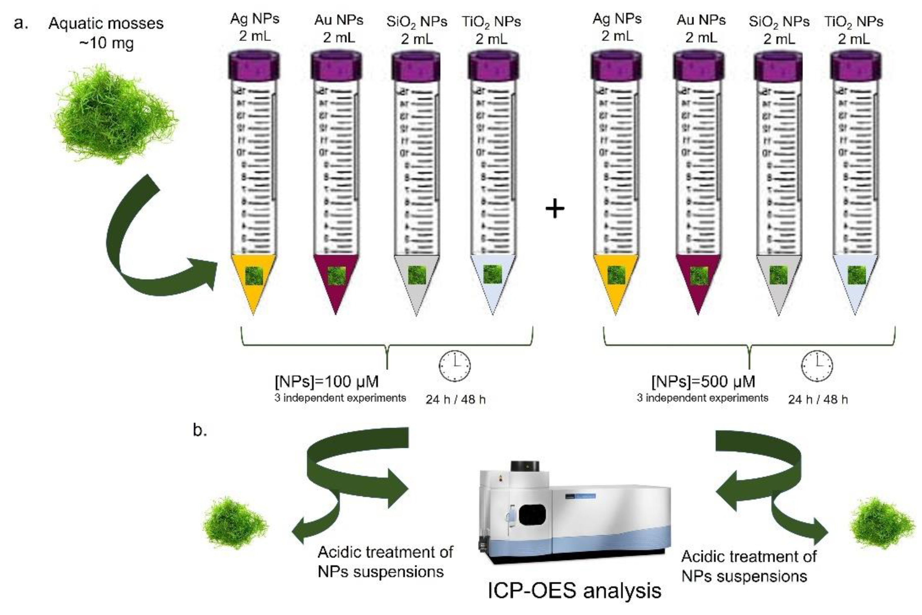 Molecules 26 02885 g002