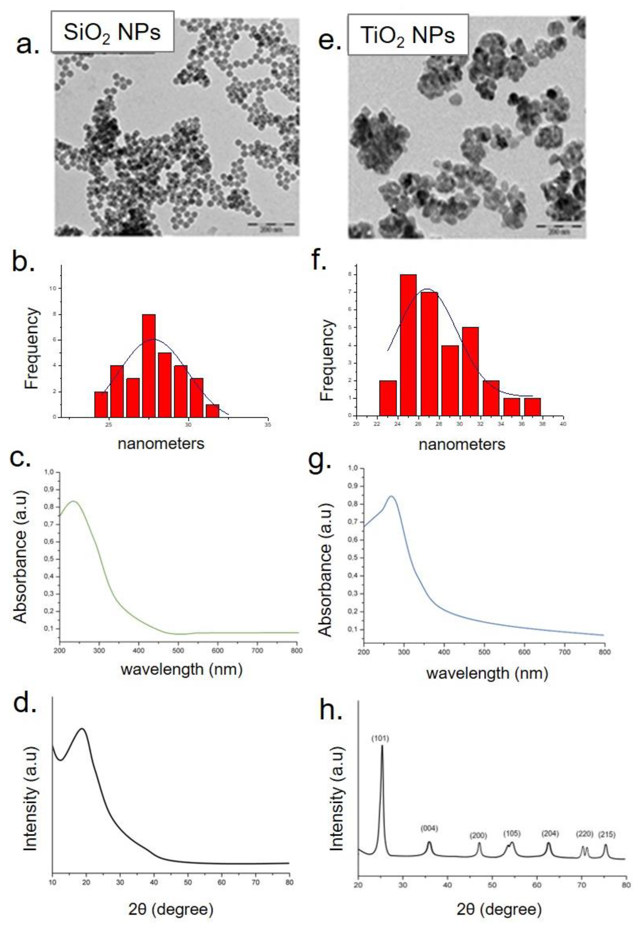 Molecules 26 02885 g004