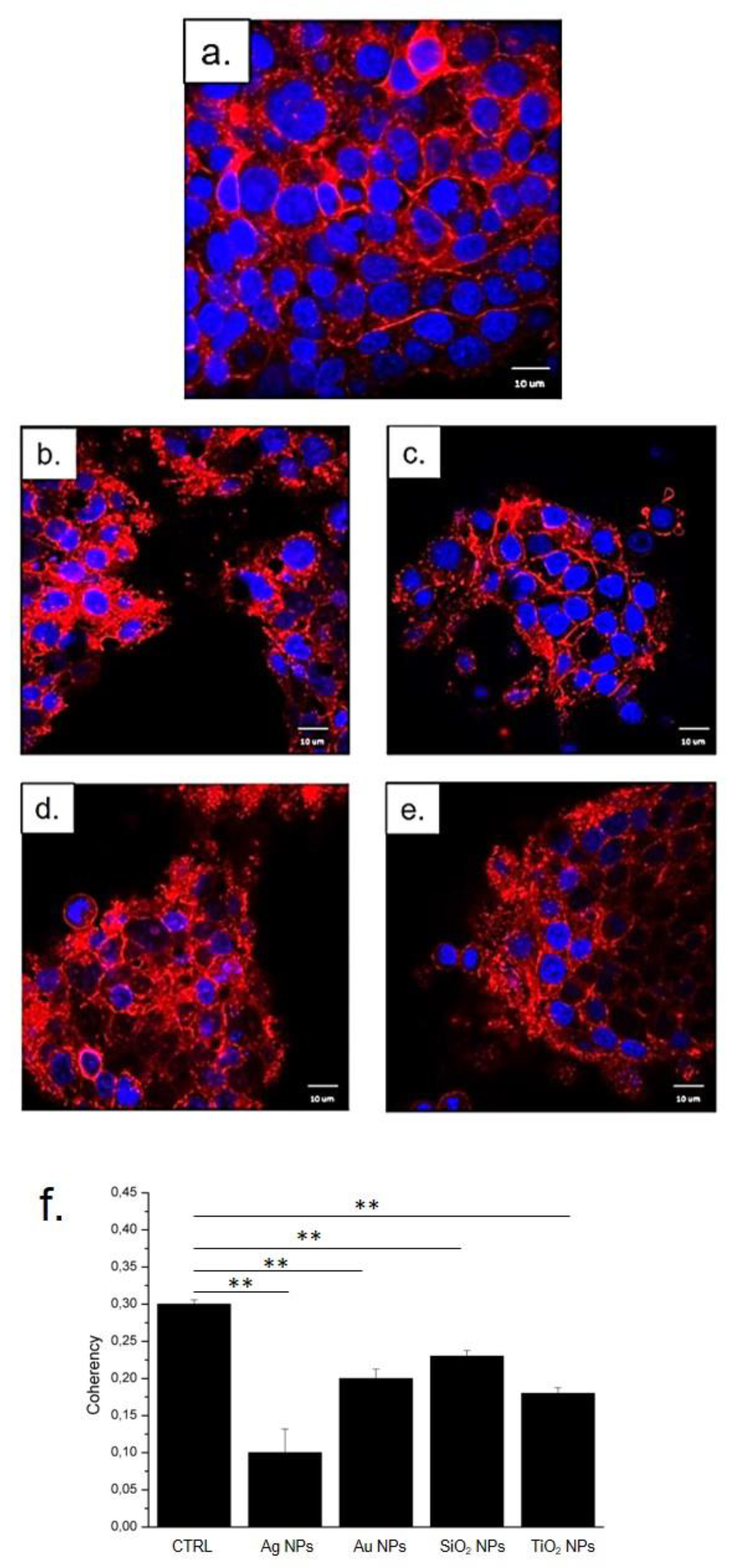 Molecules 26 02885 g006