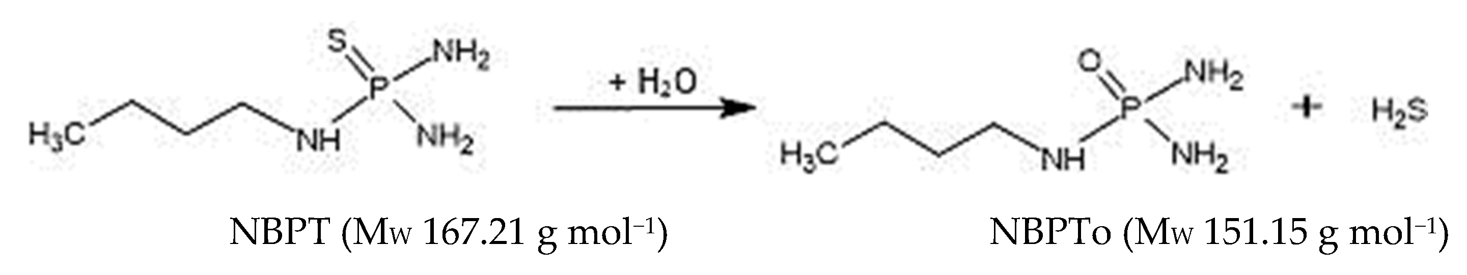Molecules 26 02890 g001 Molecules 26 02890 g001
