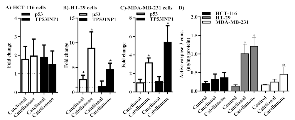 Molecules 26 02891 g004