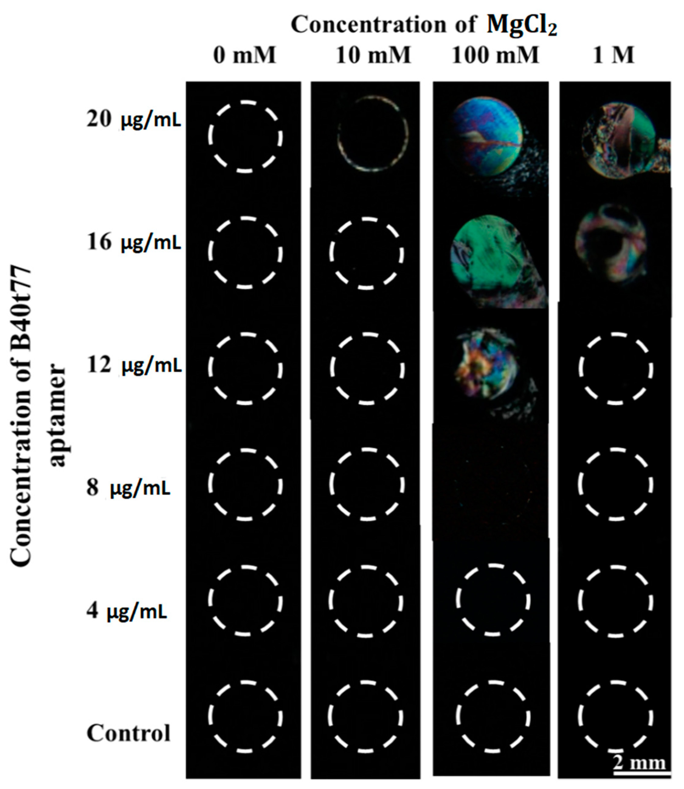 Molecules 26 02893 g002 Molecules 26 02893 g002