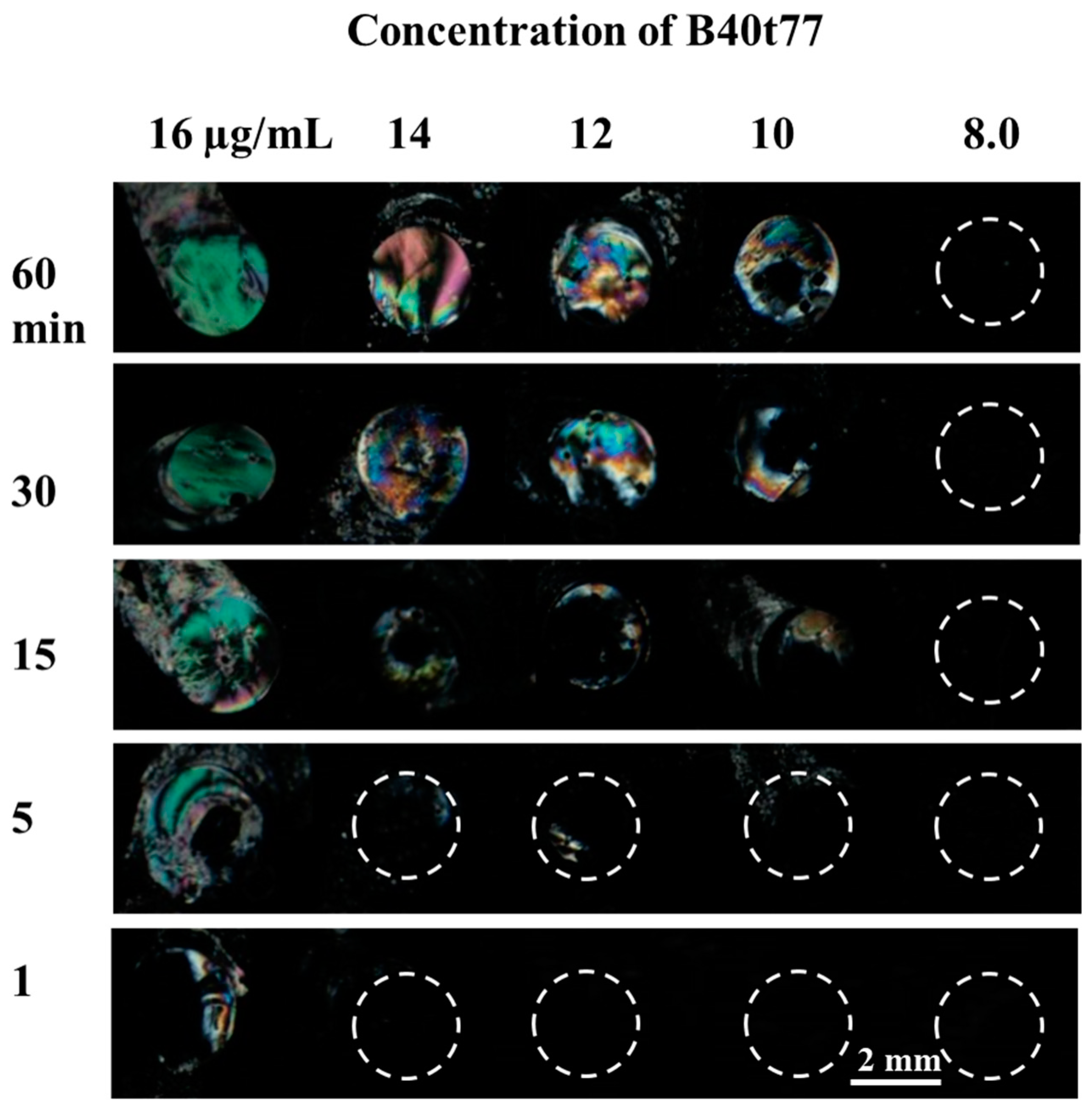 Molecules 26 02893 g004 Molecules 26 02893 g004