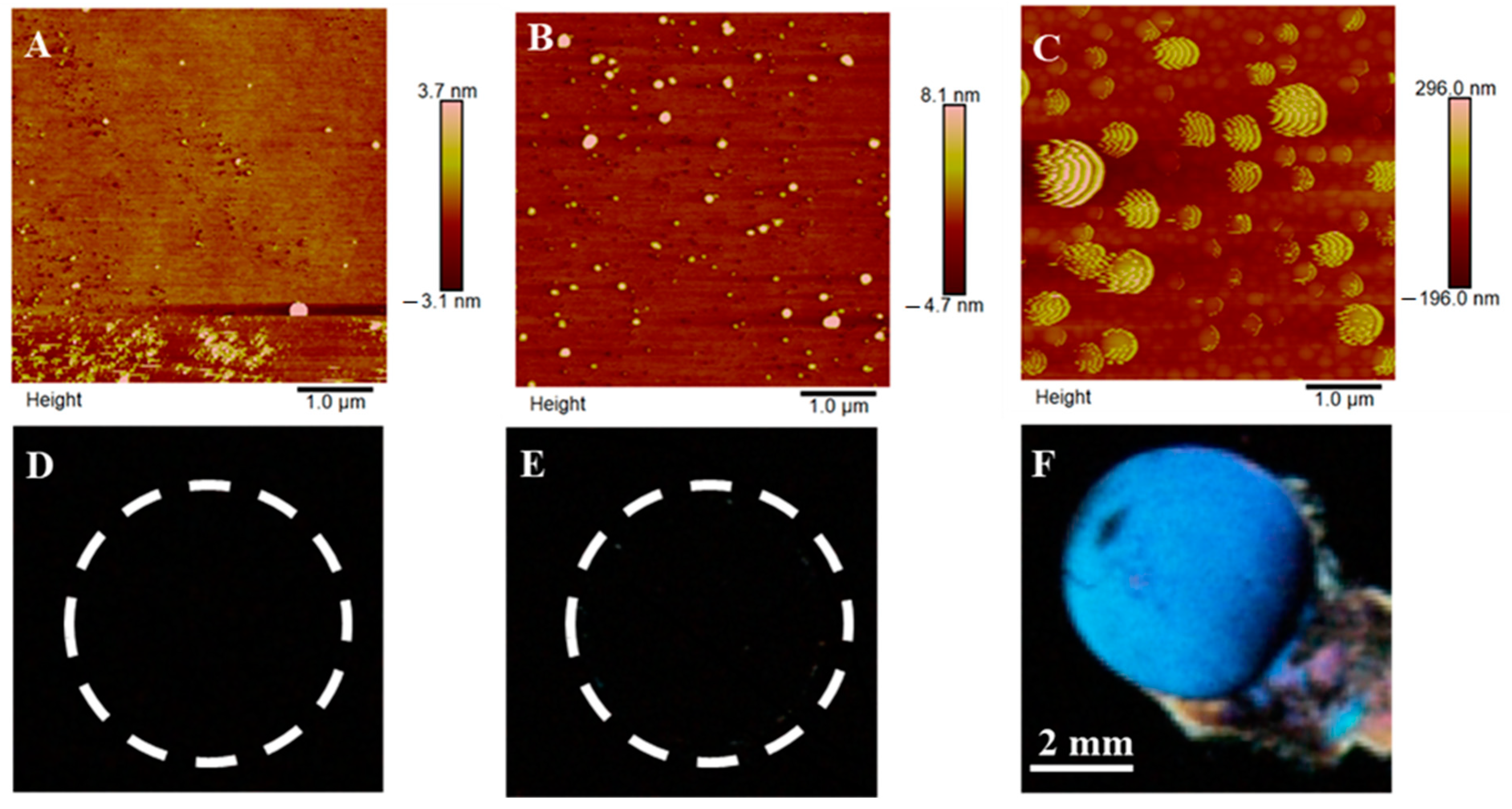 Molecules 26 02893 g005 Molecules 26 02893 g005