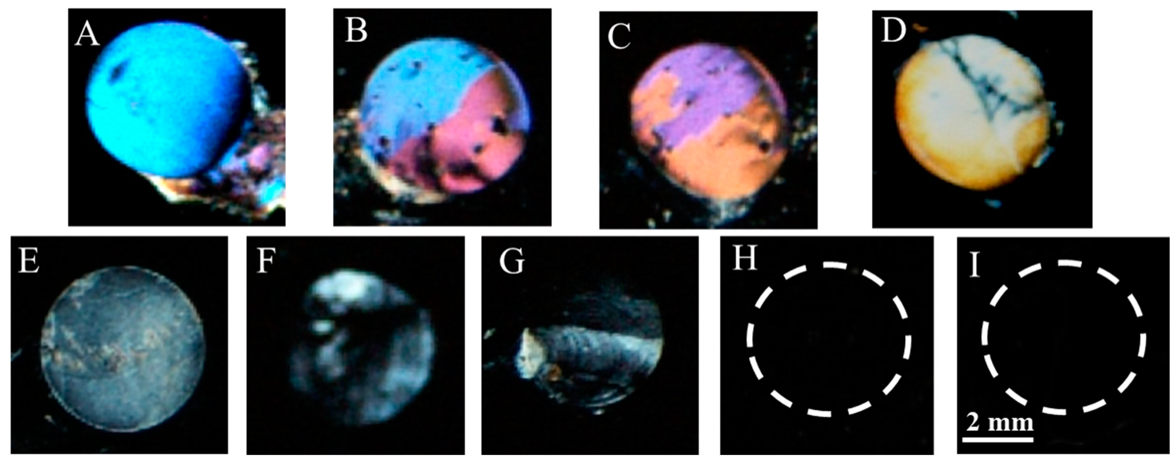 Molecules 26 02893 g006 Molecules 26 02893 g006