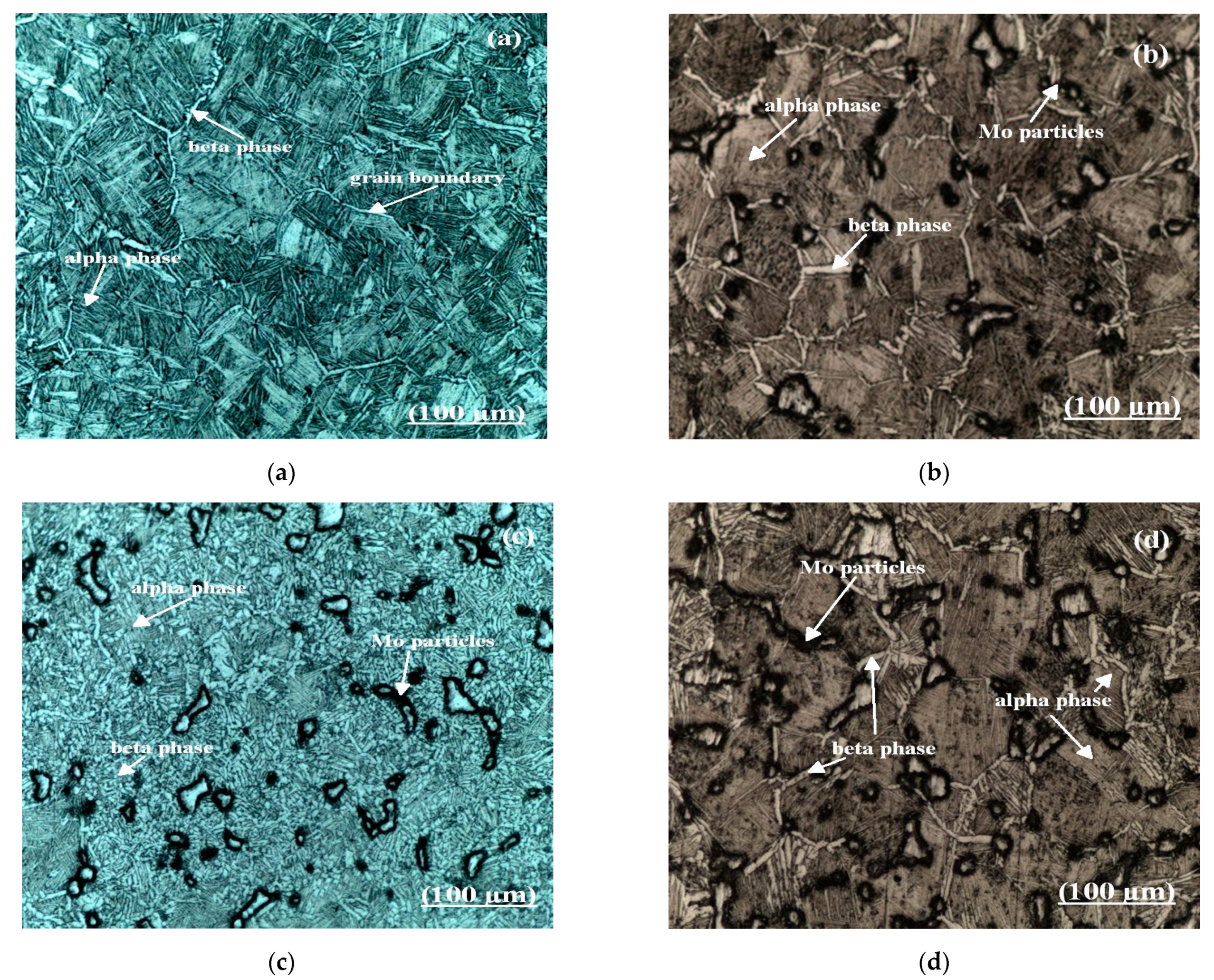 Molecules 26 02894 g003