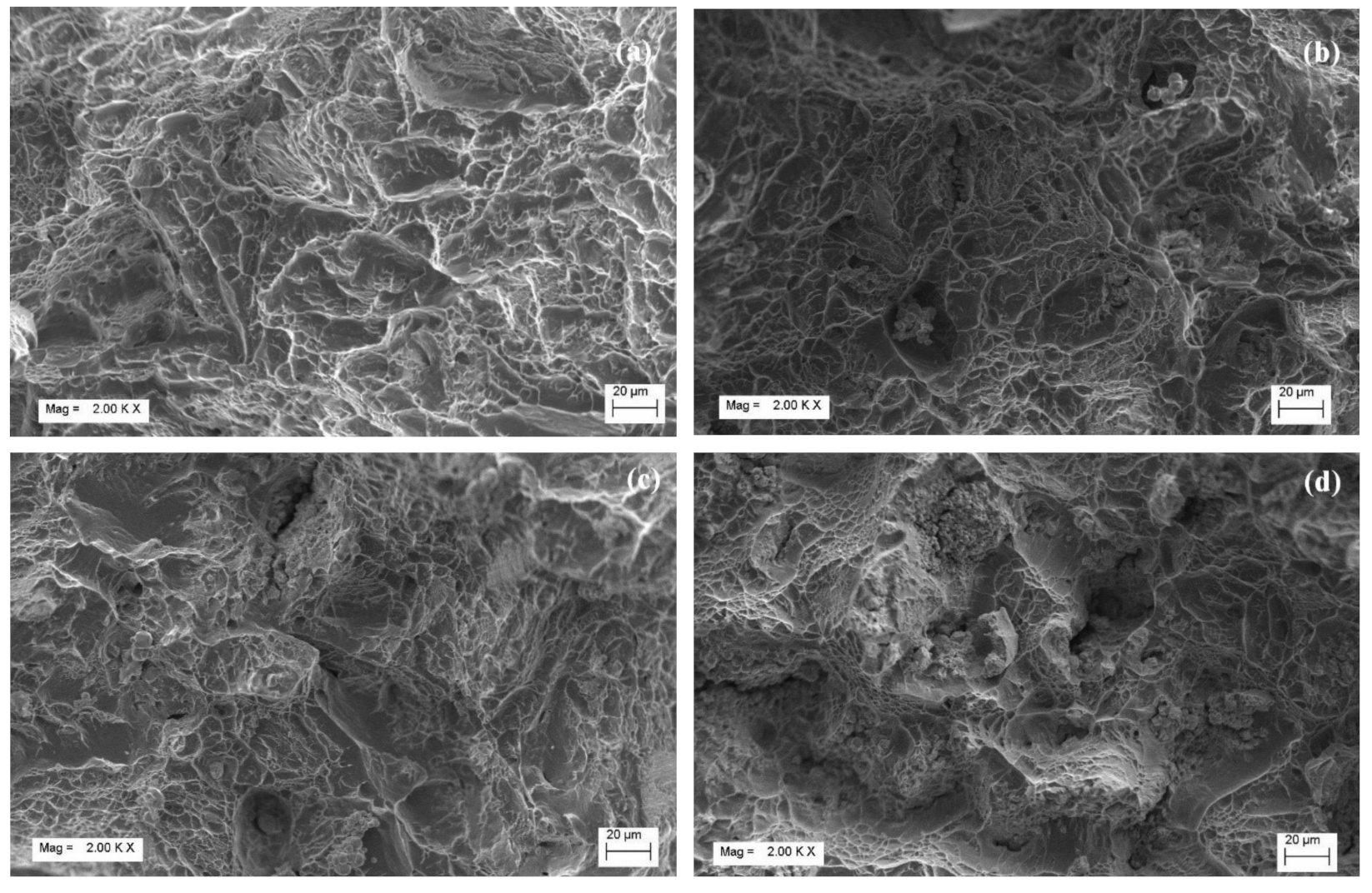 Molecules 26 02894 g006