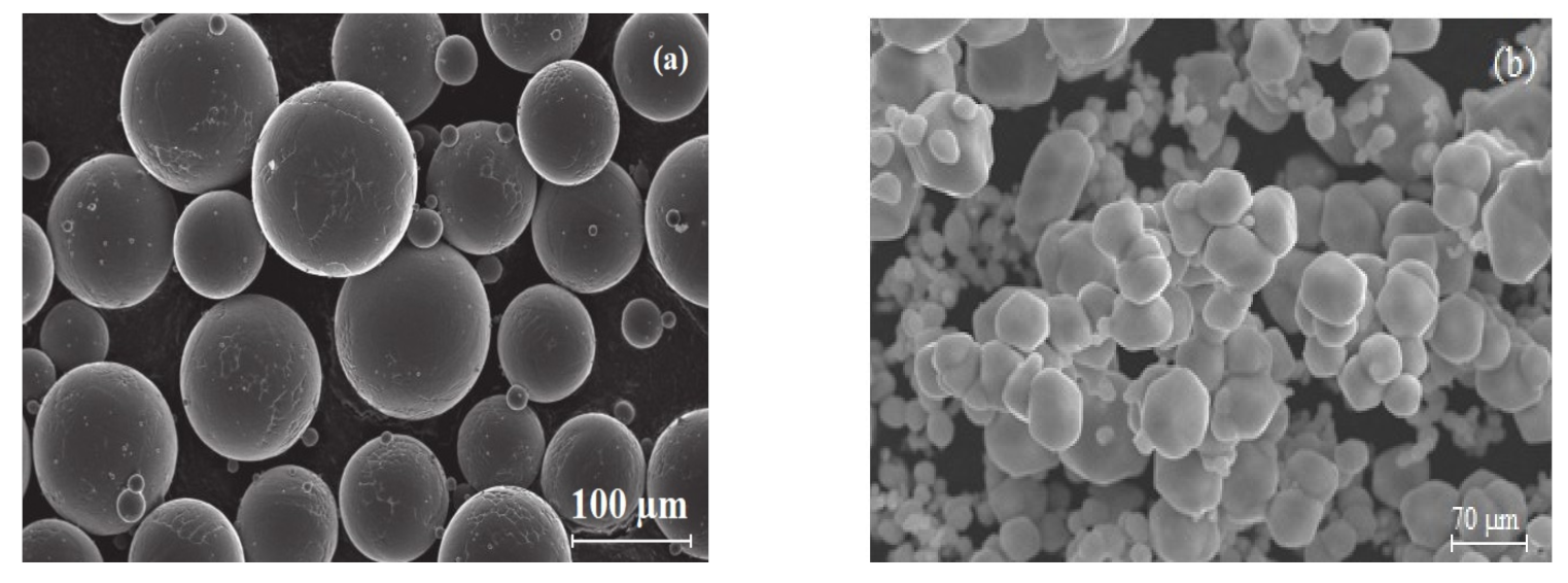 Molecules 26 02894 g007
