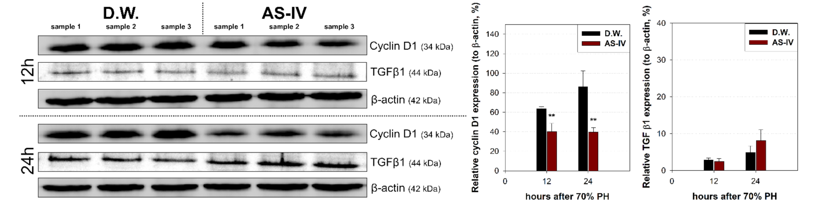 Molecules 26 02895 g006 Molecules 26 02895 g006