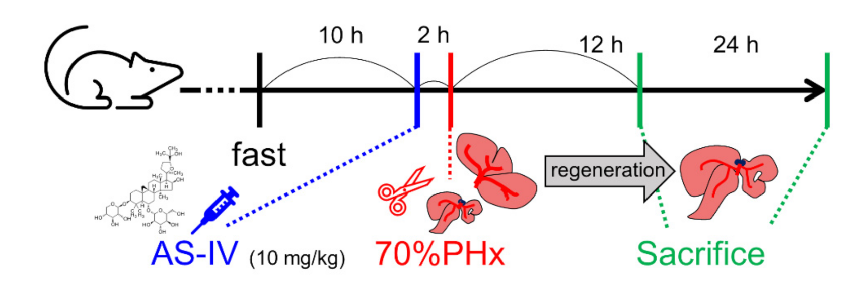 Molecules 26 02895 g007 Molecules 26 02895 g007