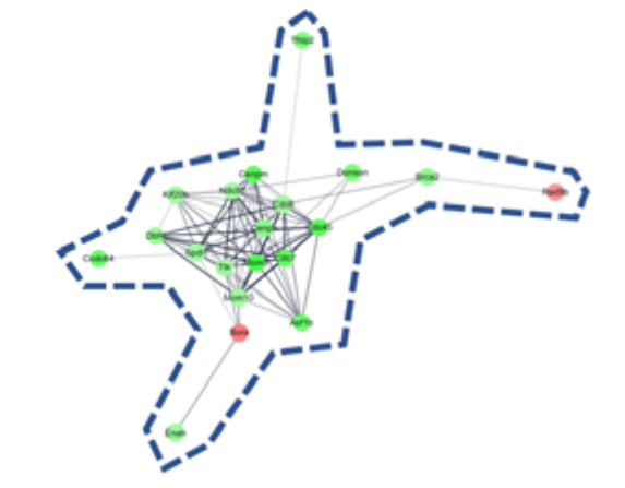 Molecules 26 02895 i001 Molecules 26 02895 i001