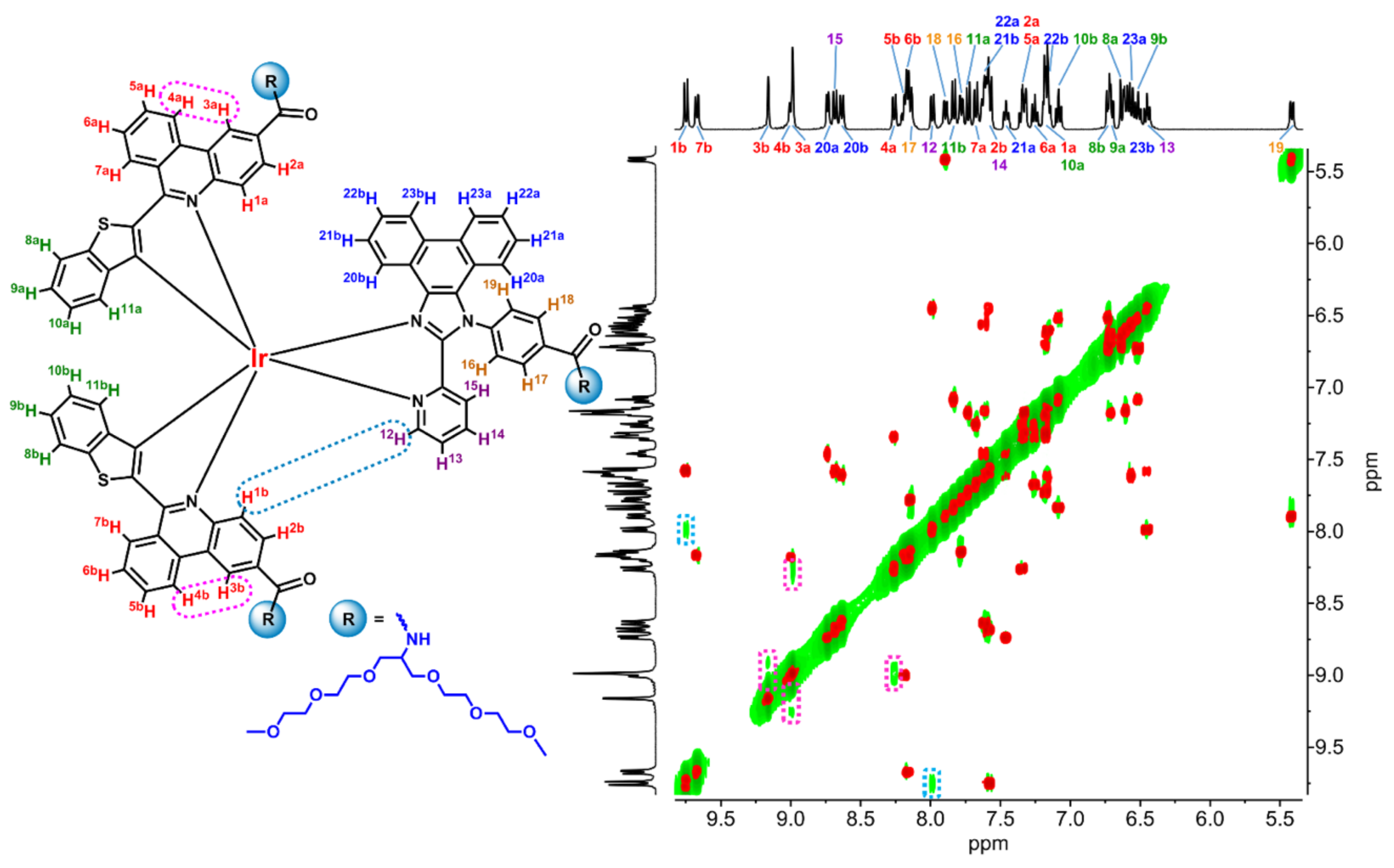 Molecules 26 02898 g001