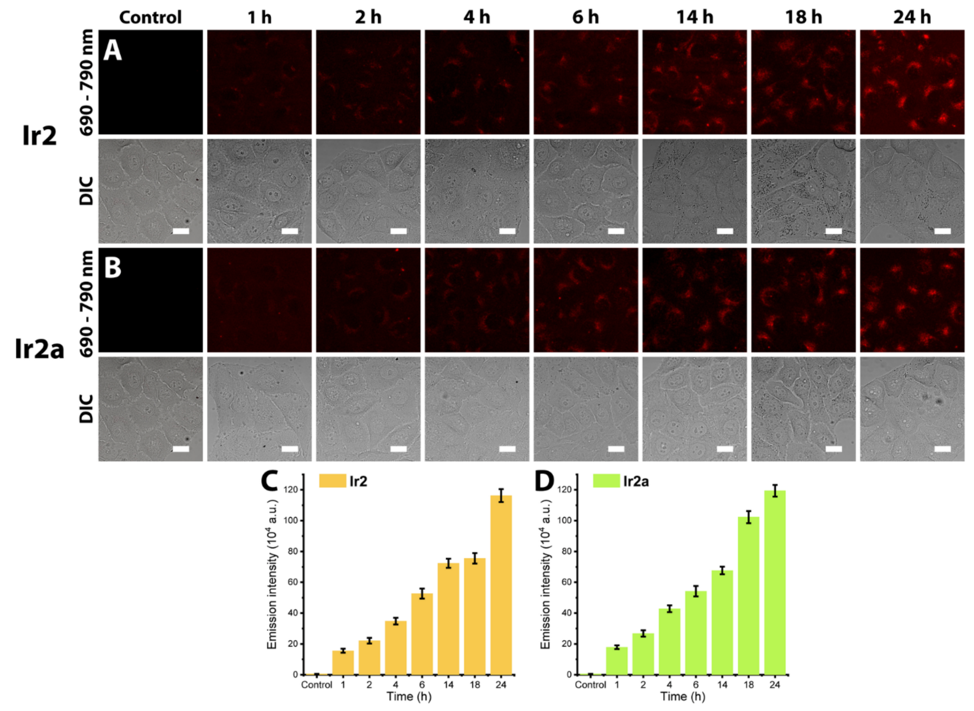Molecules 26 02898 g006
