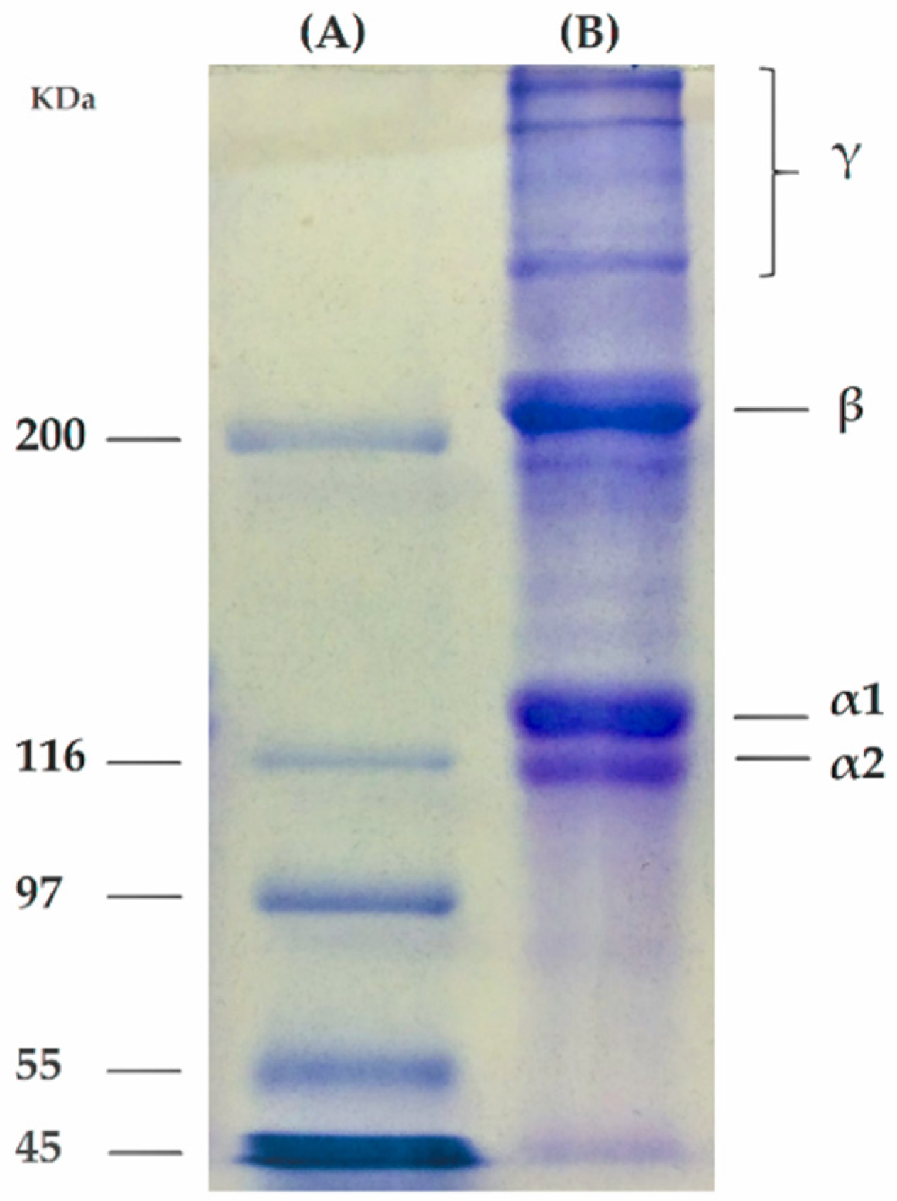 Molecules 26 02899 g001