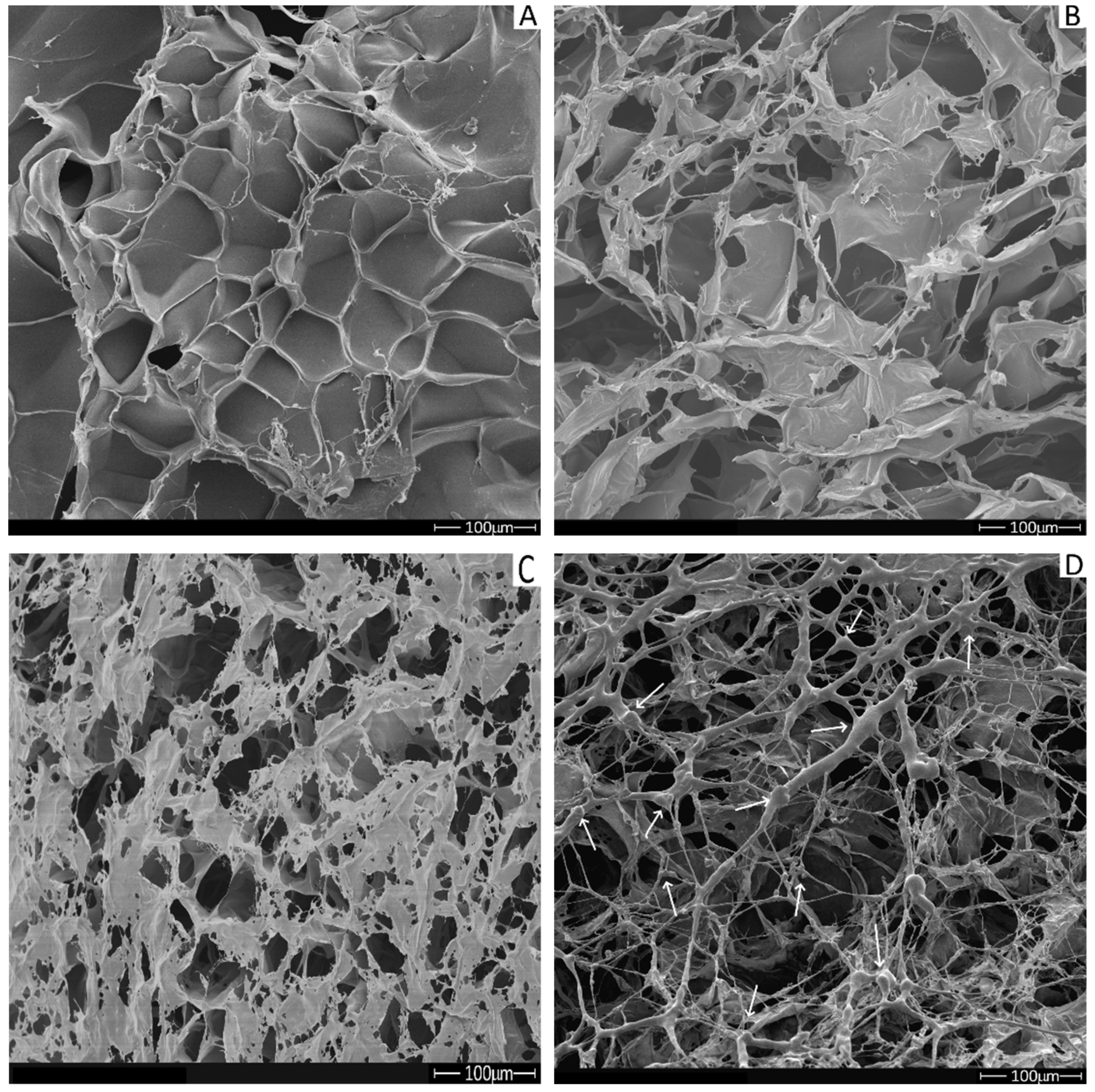 Molecules 26 02899 g008