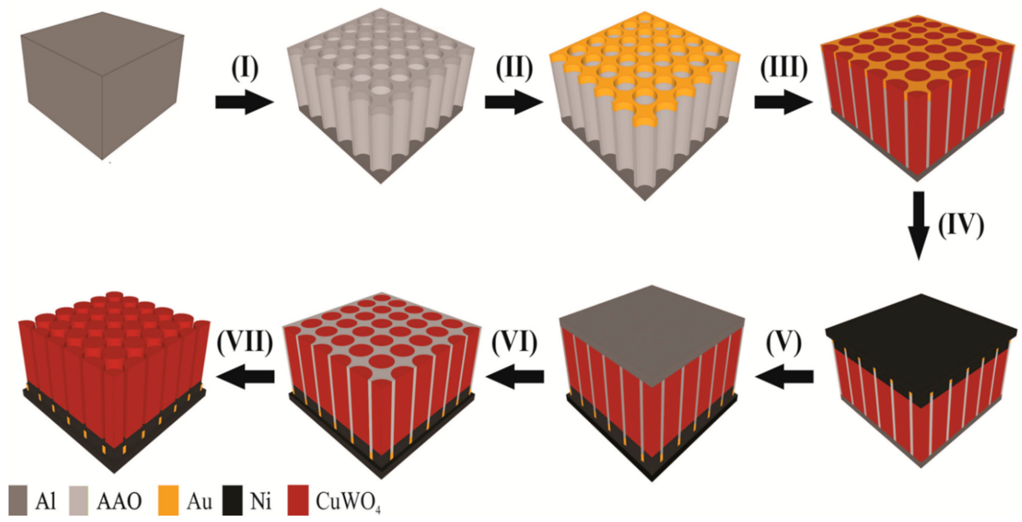 Molecules 26 02900 g001