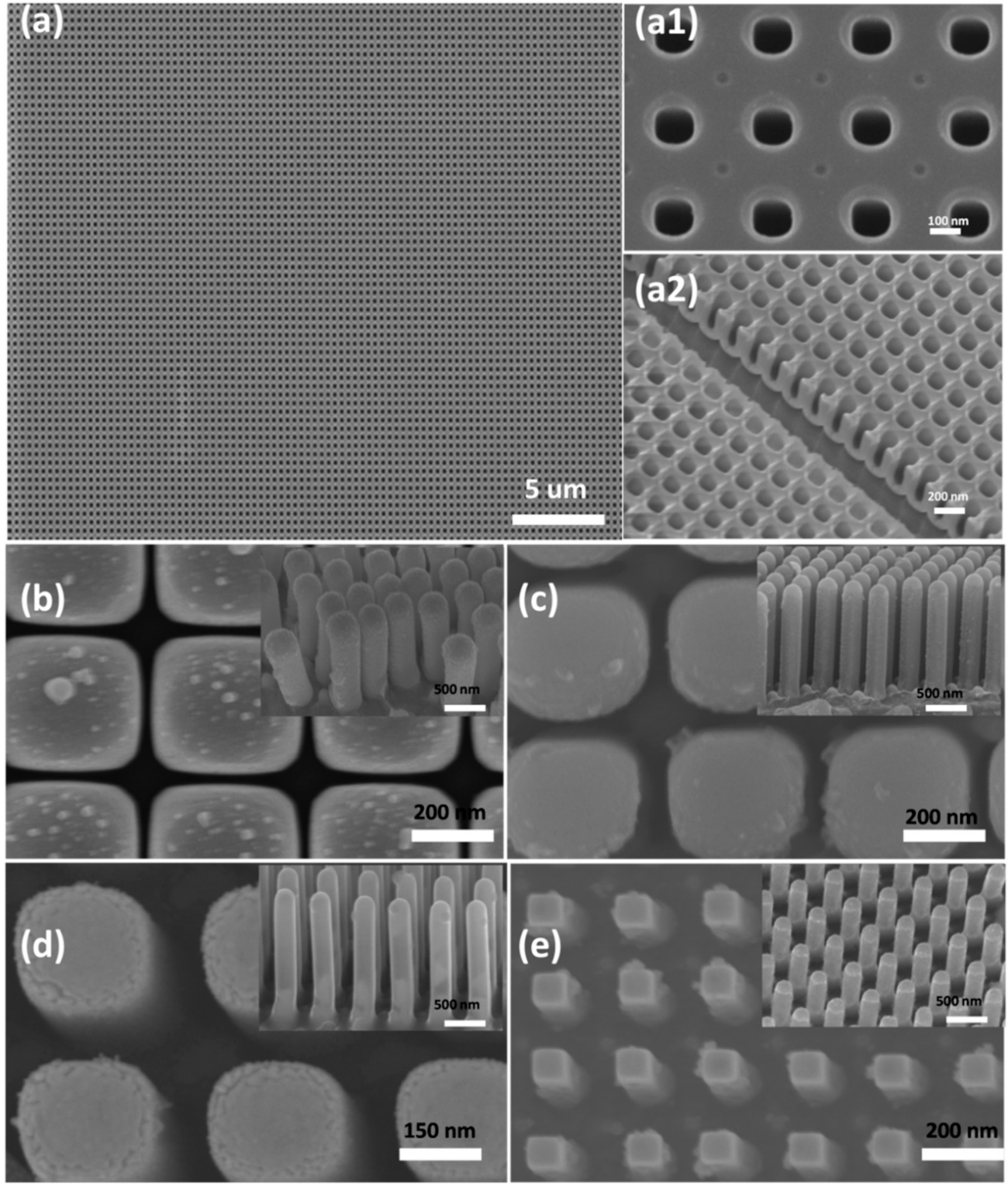 Molecules 26 02900 g002