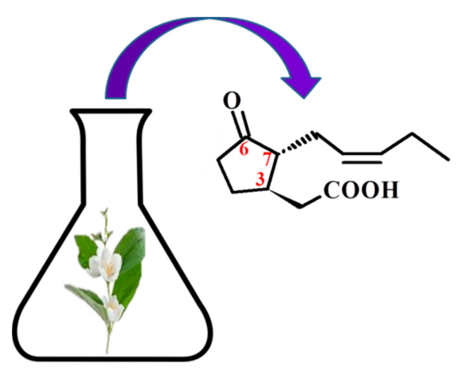 Molecules 26 02901 g001 Molecules 26 02901 g001