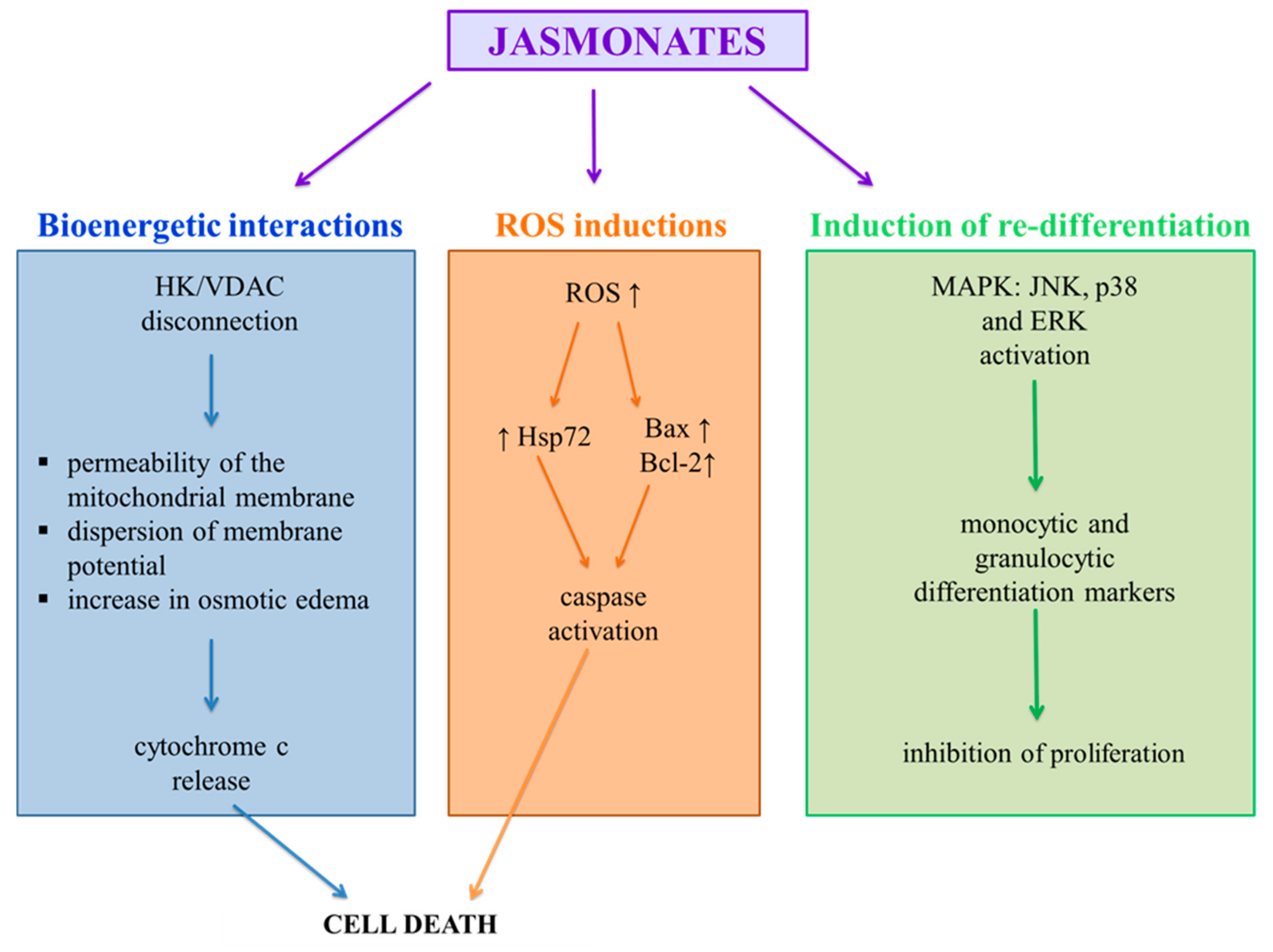 Molecules 26 02901 g002 Molecules 26 02901 g002