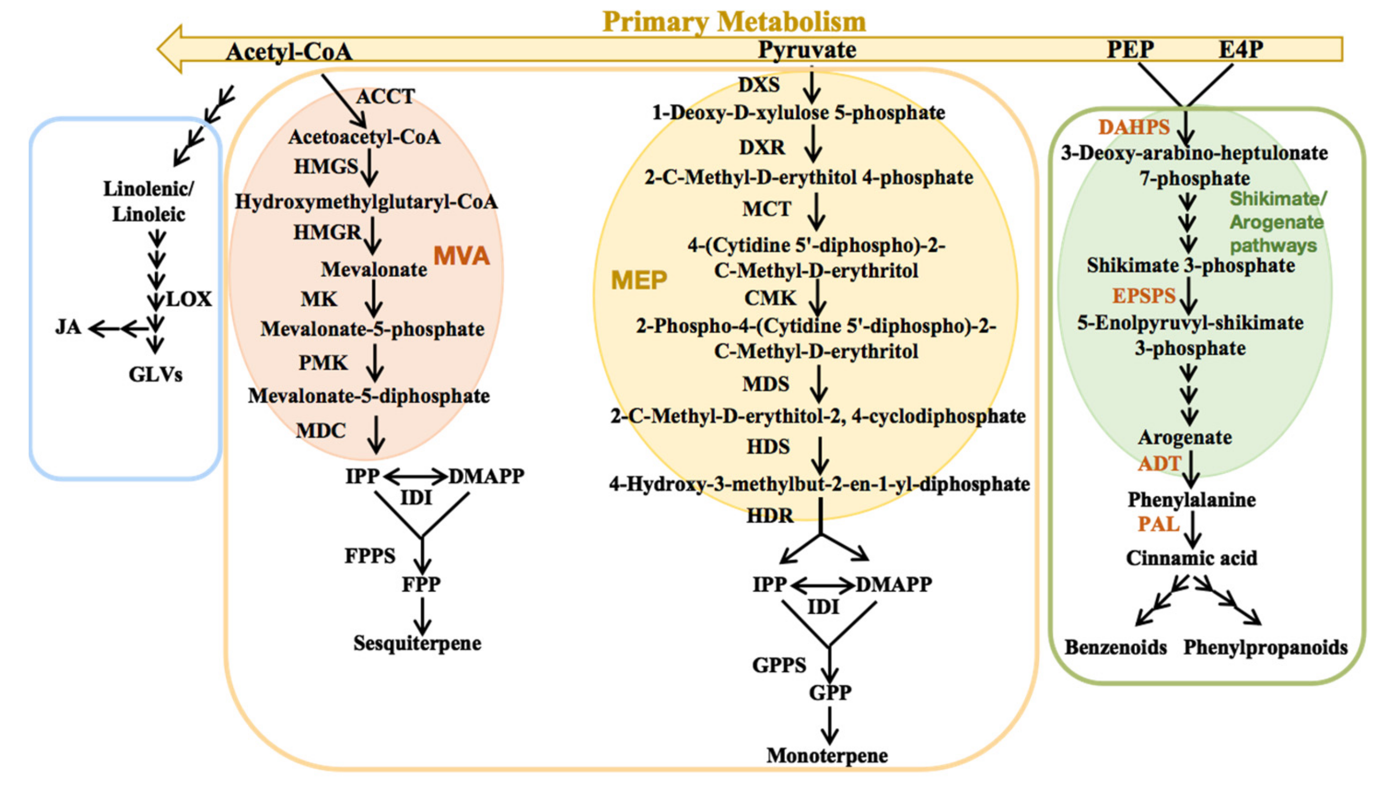 Molecules 26 02902 g001