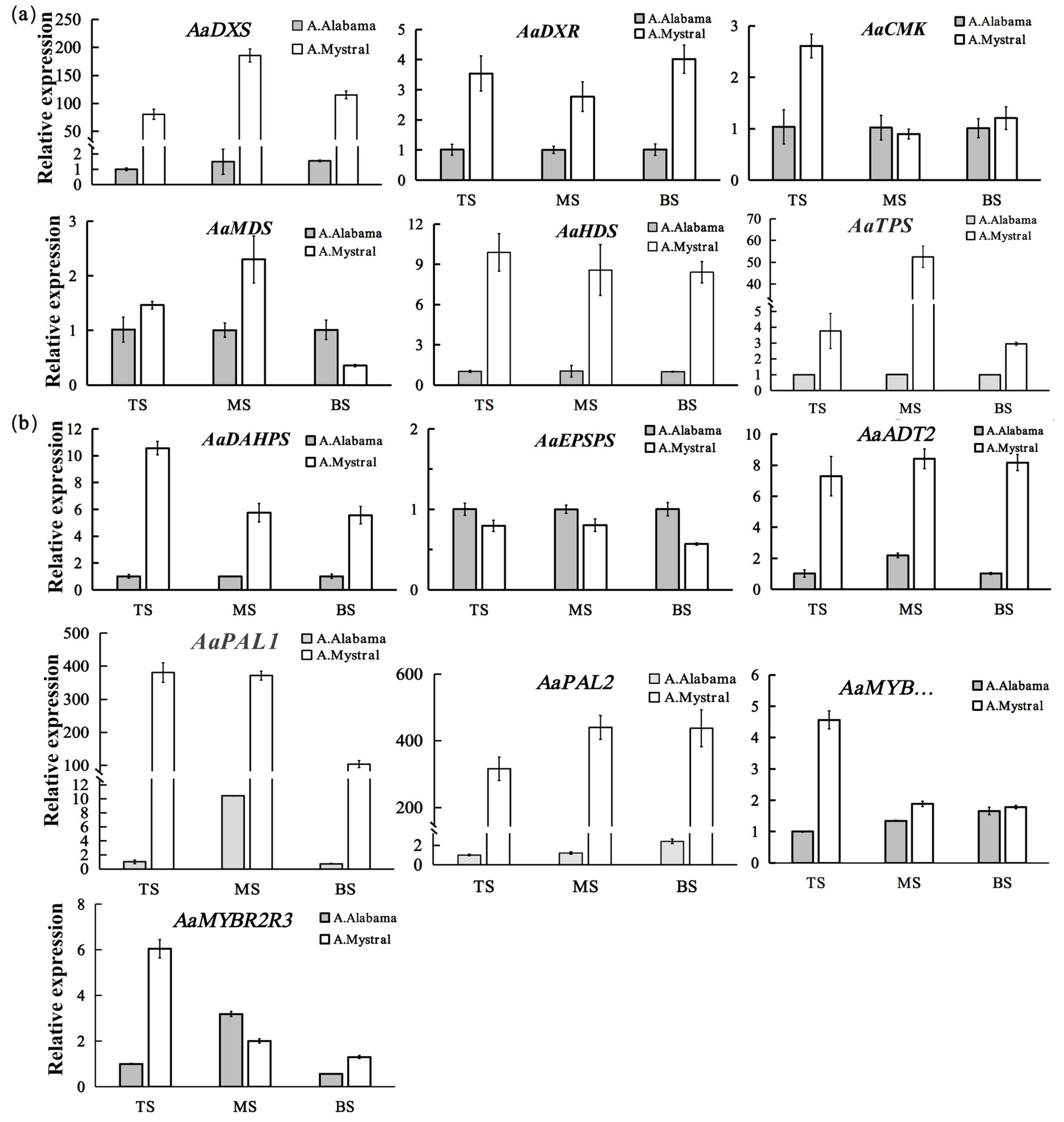 Molecules 26 02902 g003