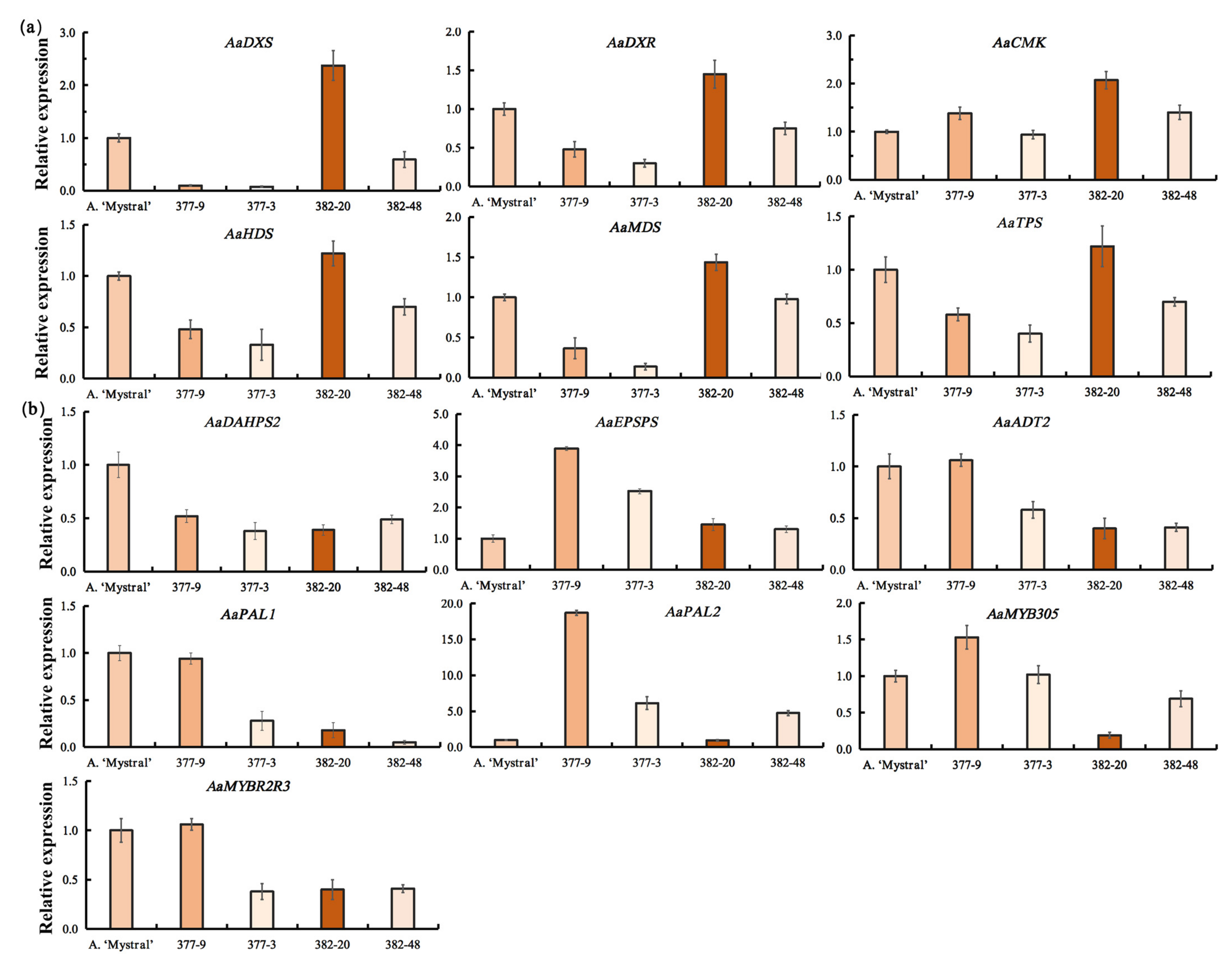 Molecules 26 02902 g004