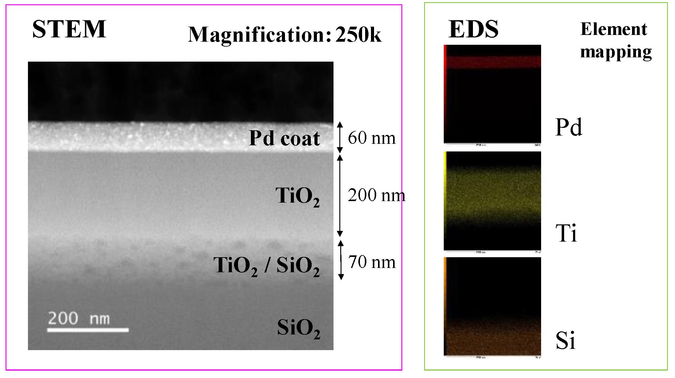 Molecules 26 02904 g006 Molecules 26 02904 g006