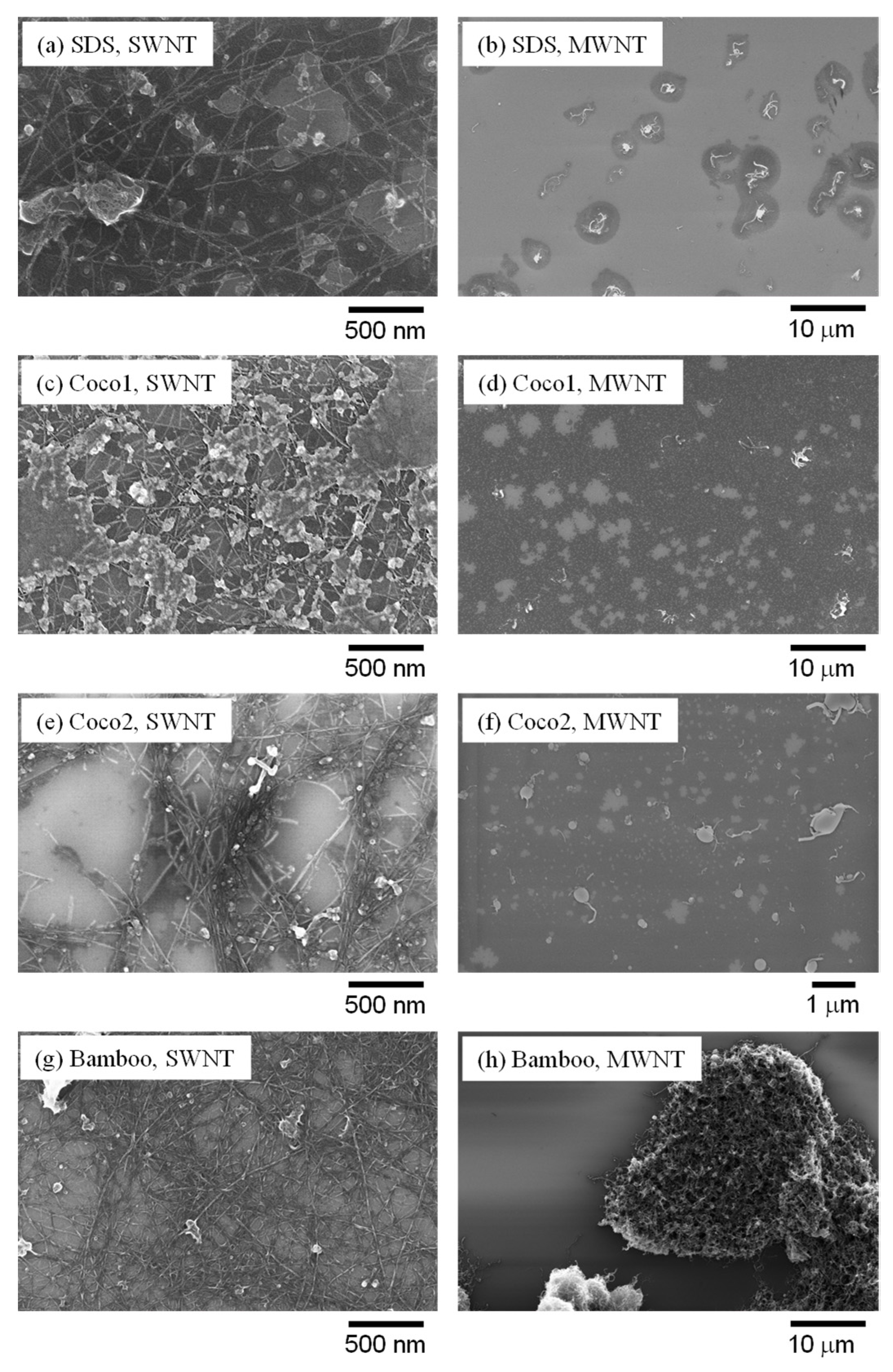 Molecules 26 02908 g003 Molecules 26 02908 g003
