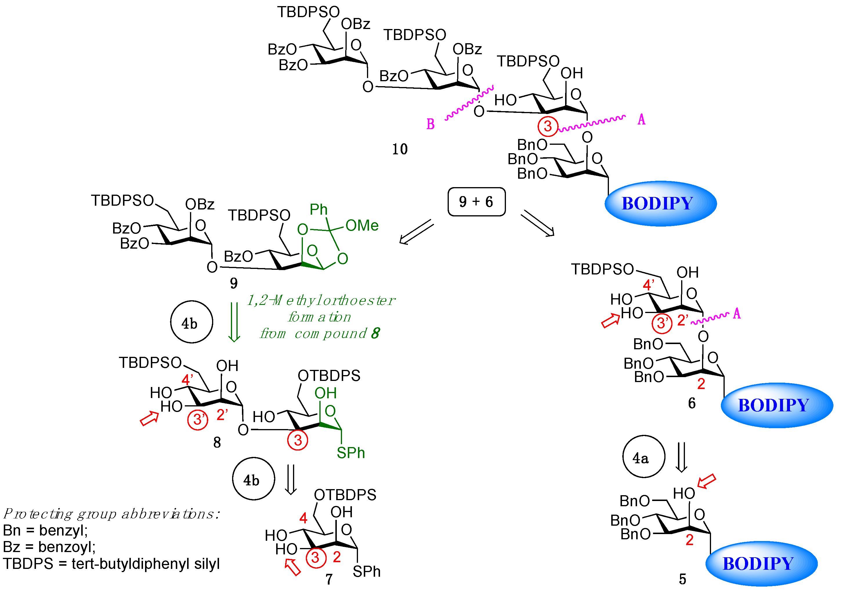 Molecules 26 02909 sch001 Molecules 26 02909 sch001